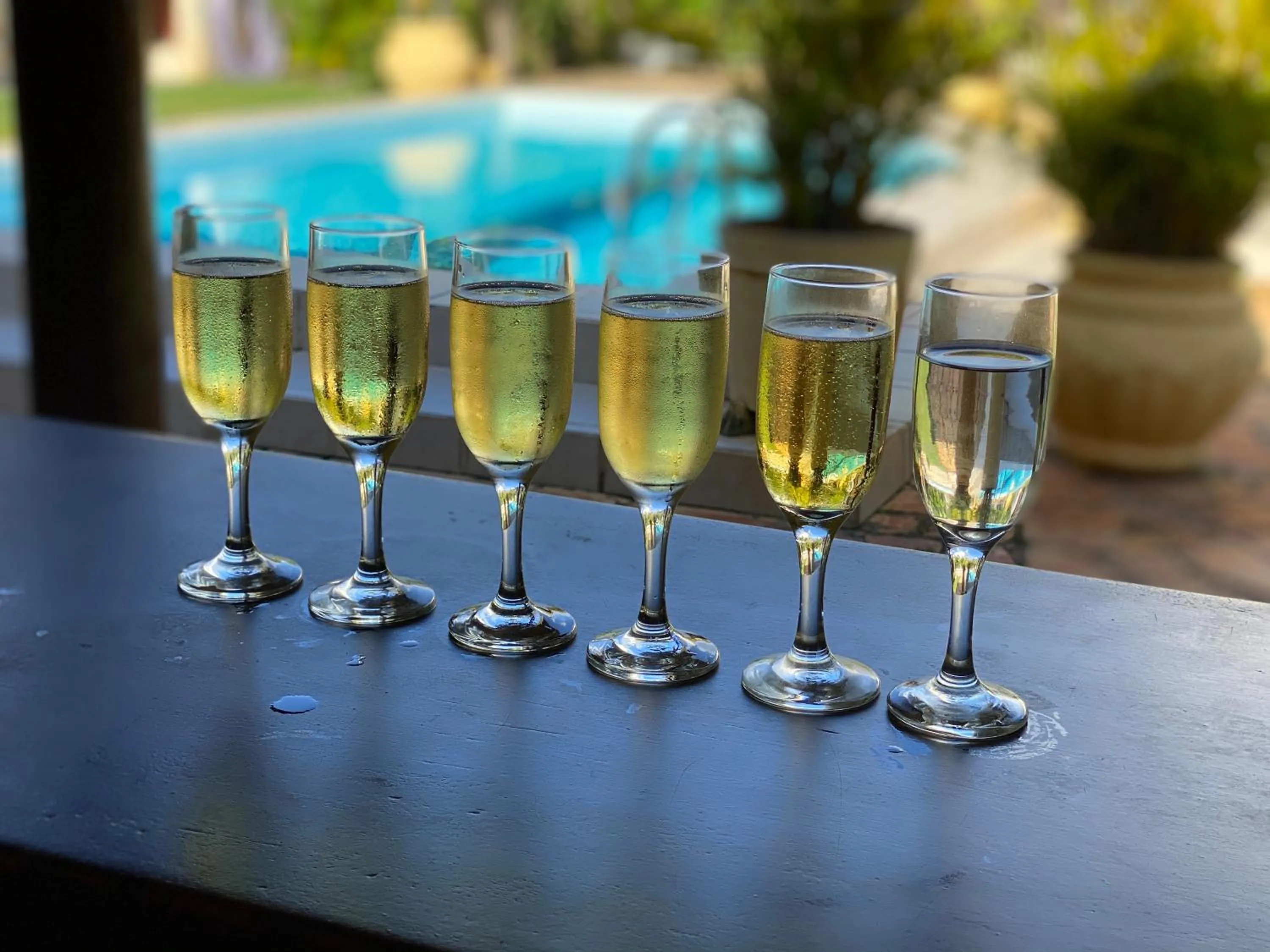 Alcoholic drinks in EcoVila-Zen Bougainville - Hotel Pousada