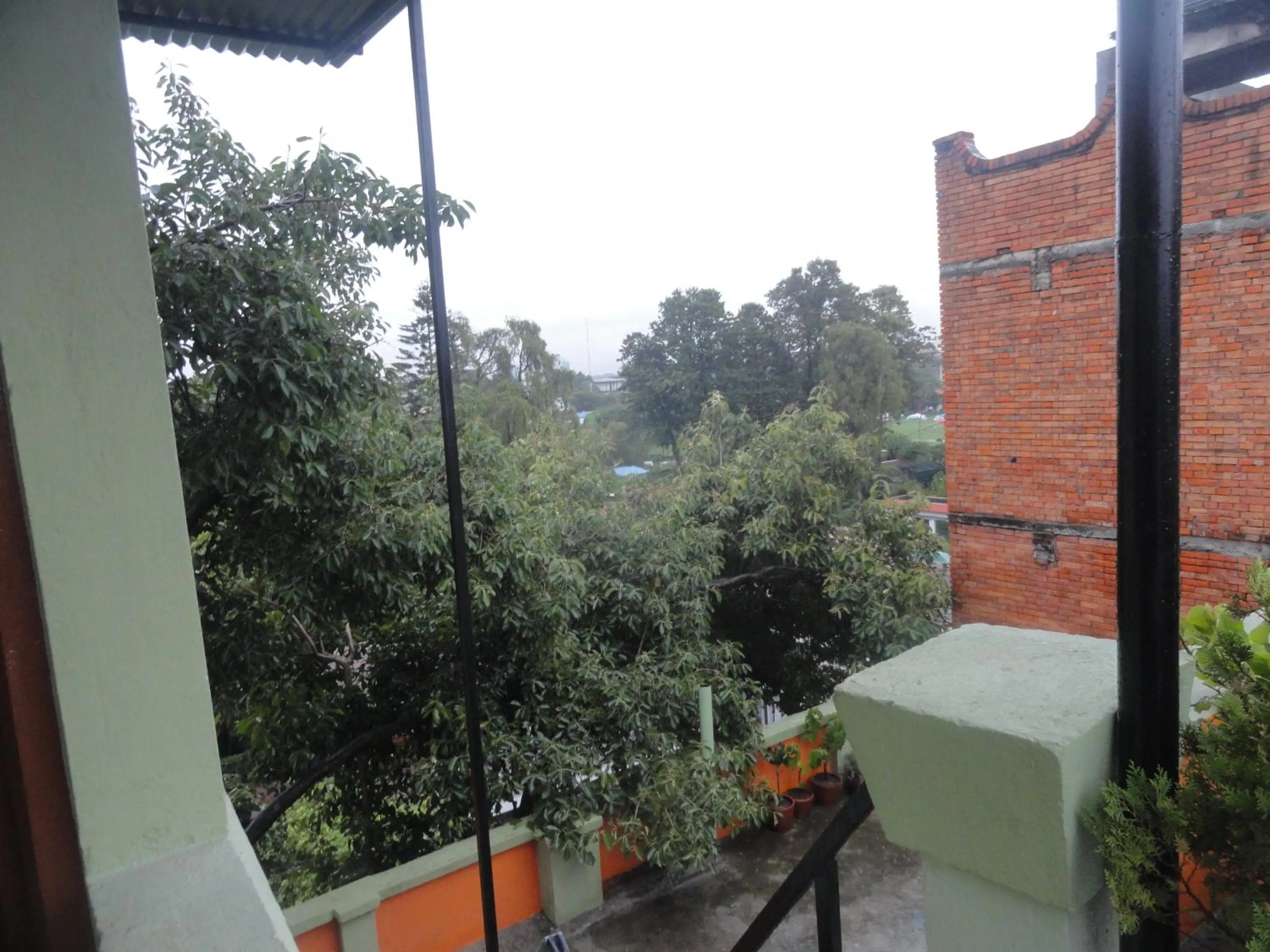 Garden view in hotel Backpackers inn