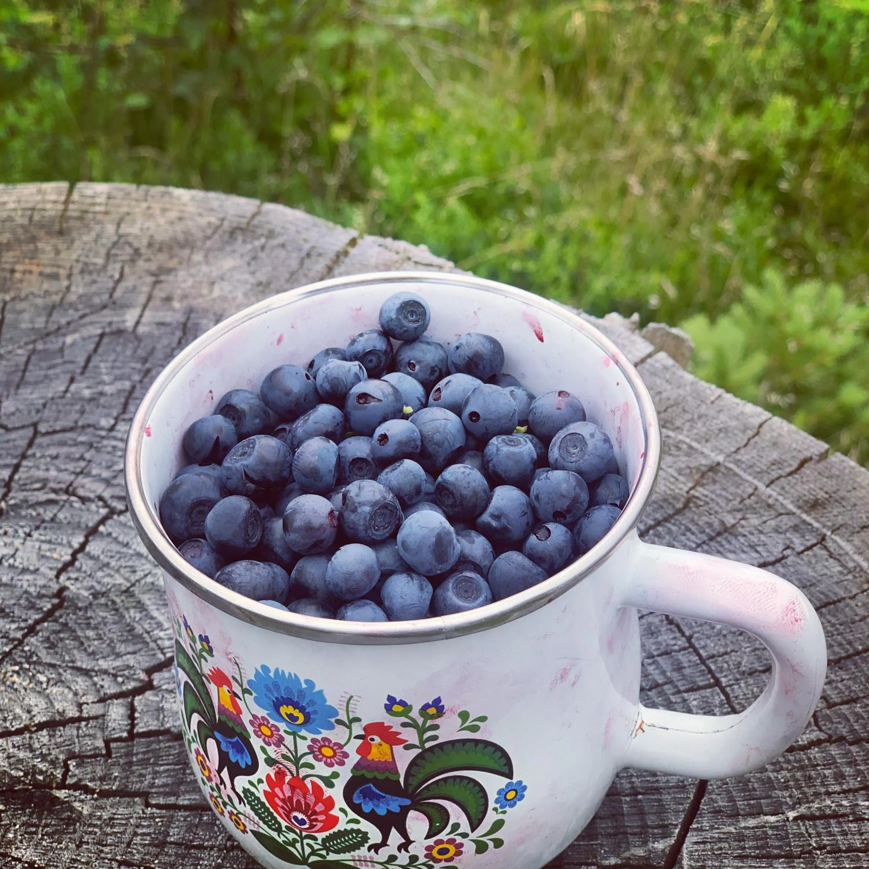 Food in Olza Karczma i pokoje