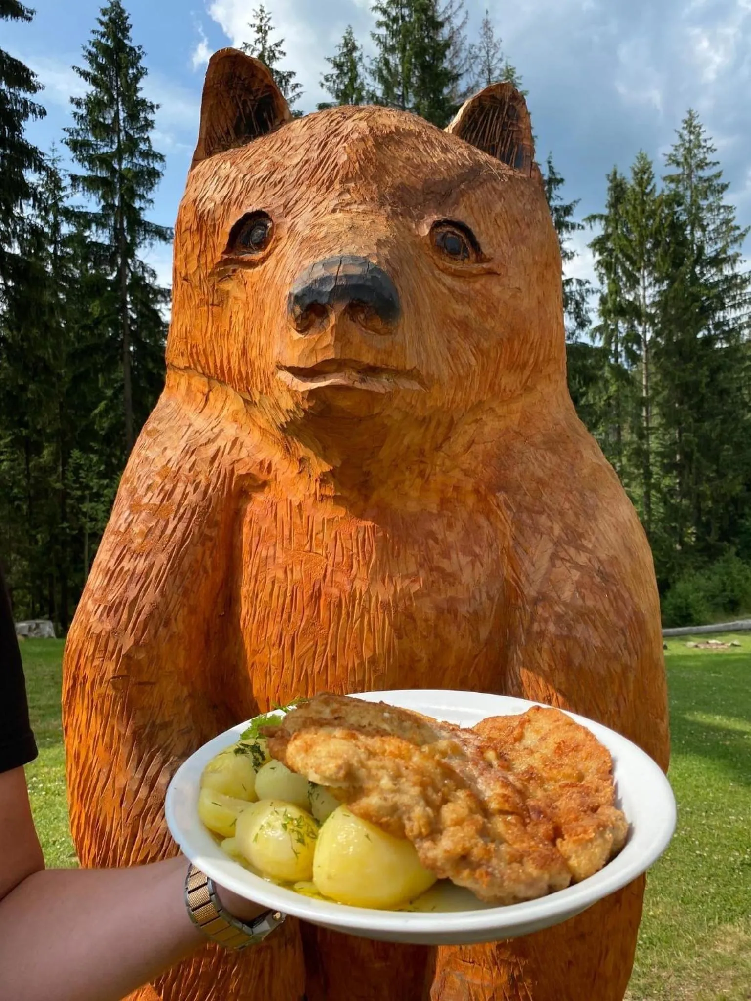 Food and drinks in Olza Karczma i pokoje