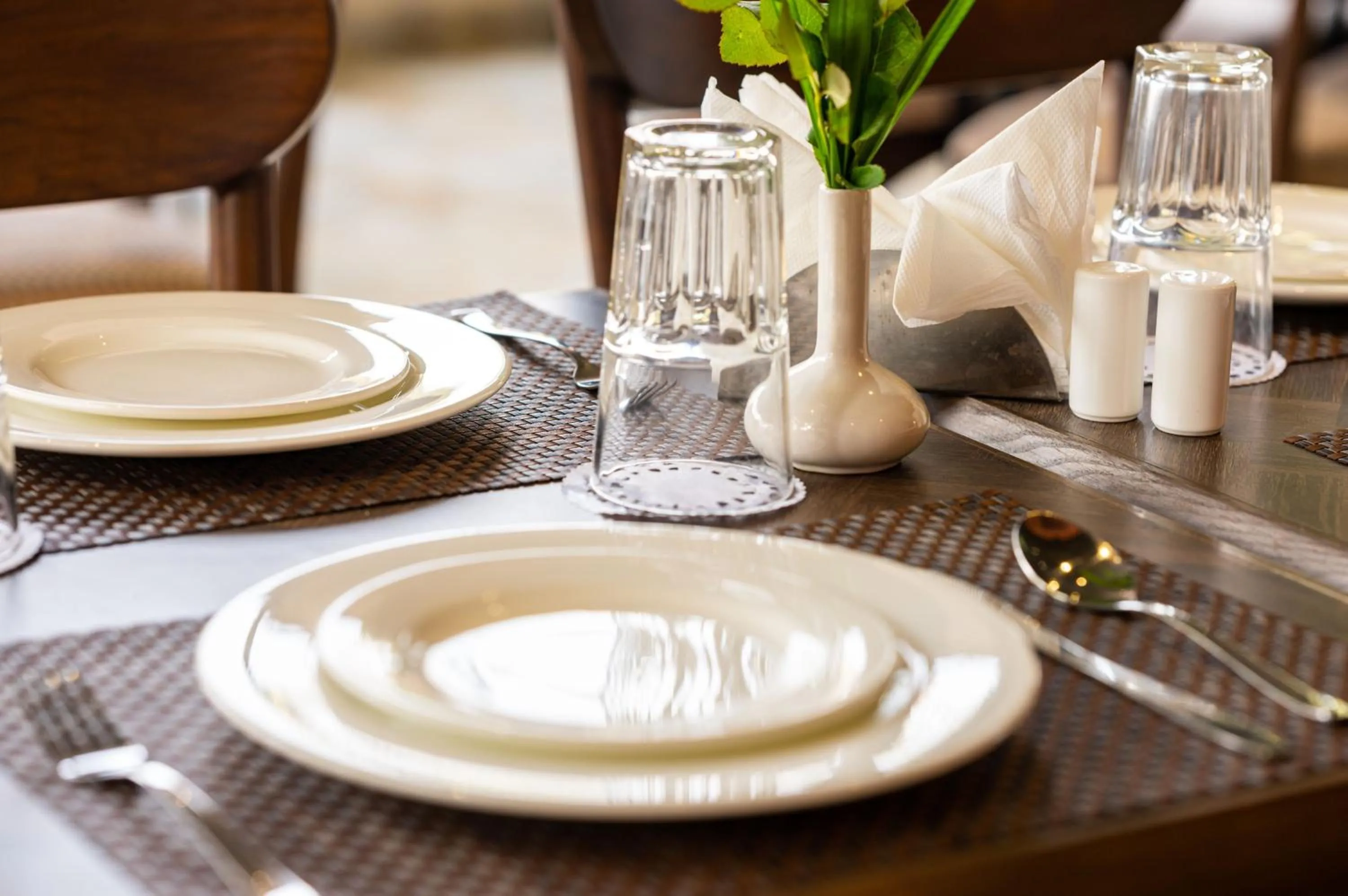 Restaurant/places to eat in Hotel Meraden Opus , Anjuna Beach Goa