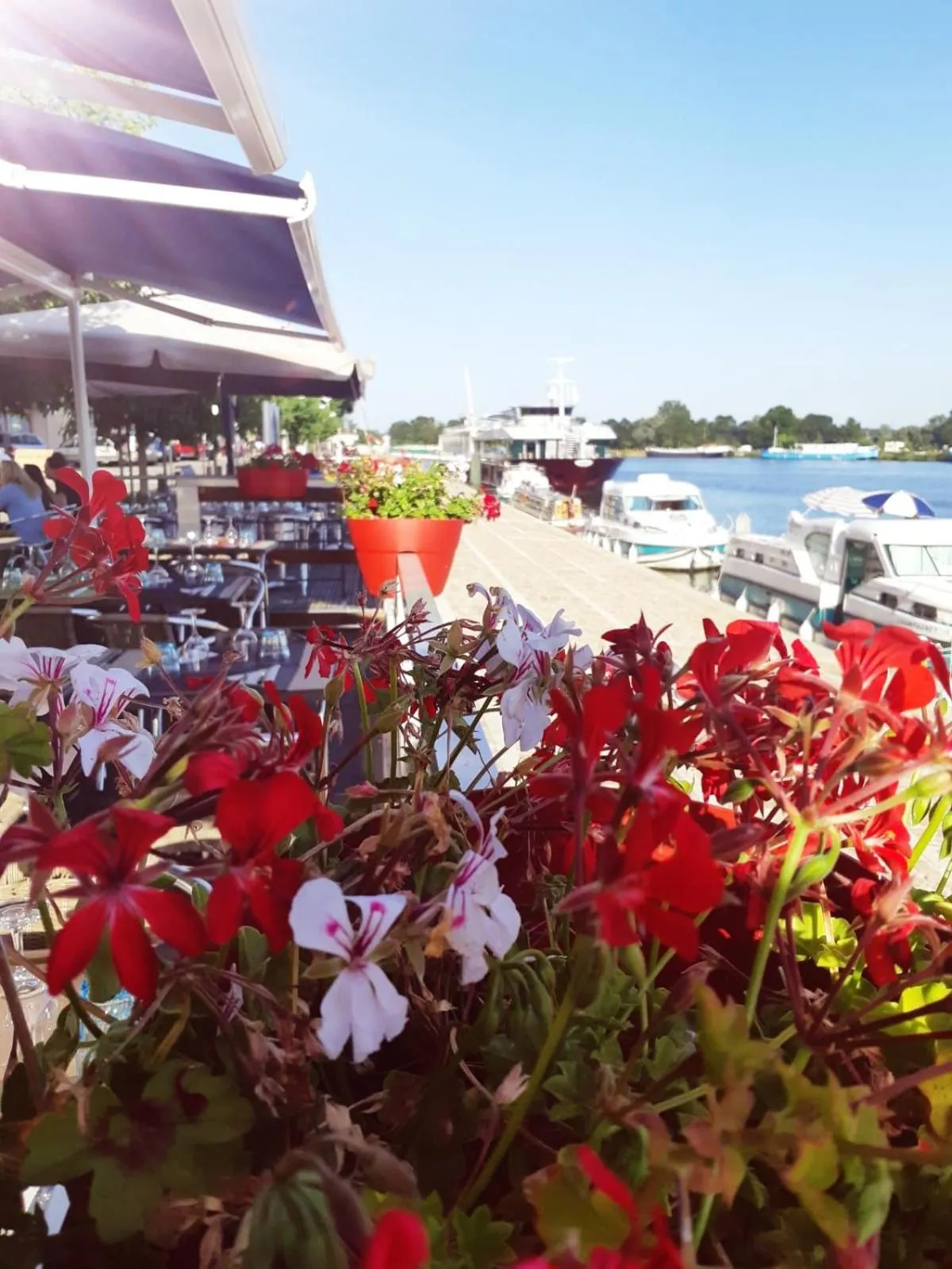 Les chambres de la Cotinière - Bord de Saône - St Jean de Losne