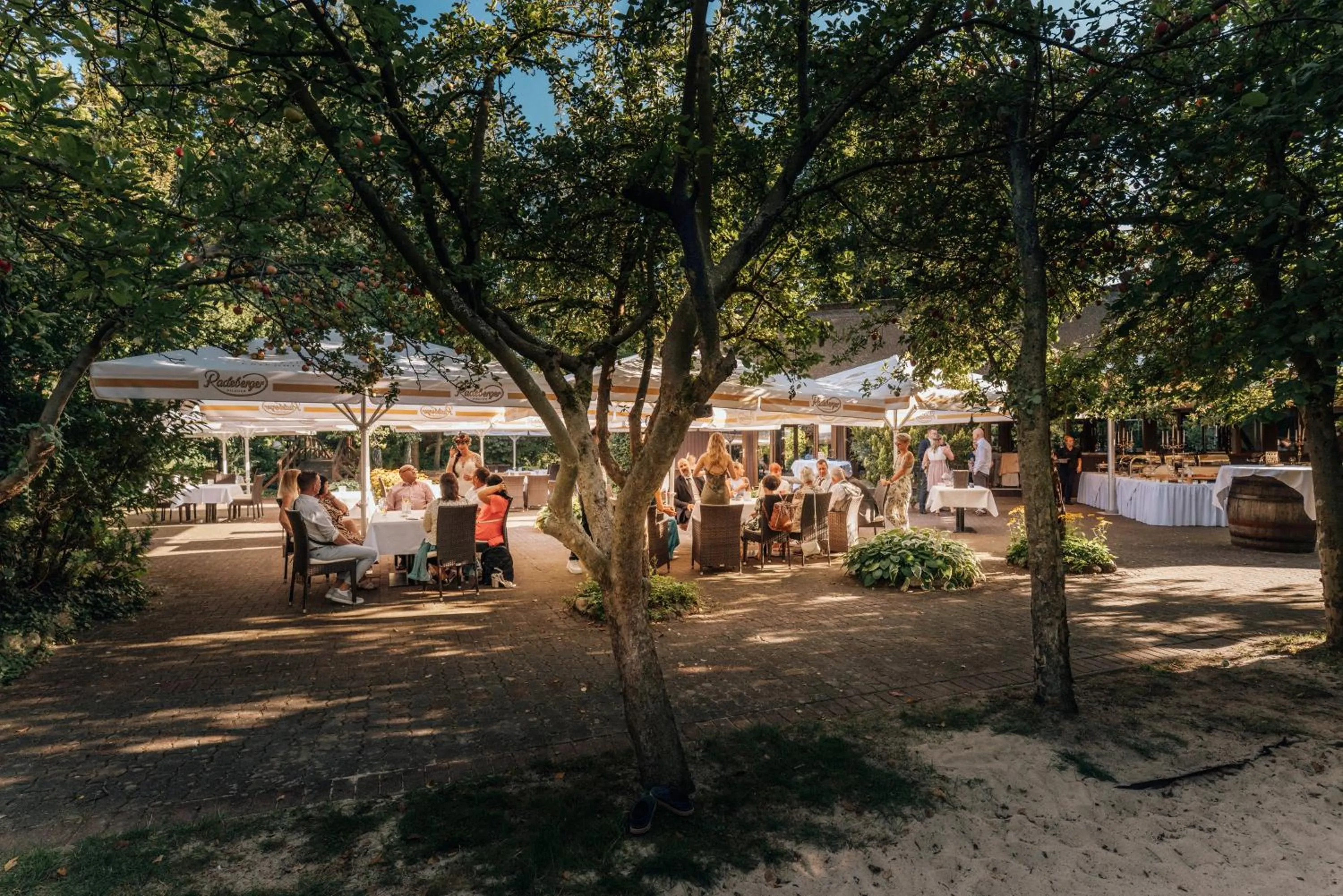 Restaurant/places to eat in Hotelanlage Starick