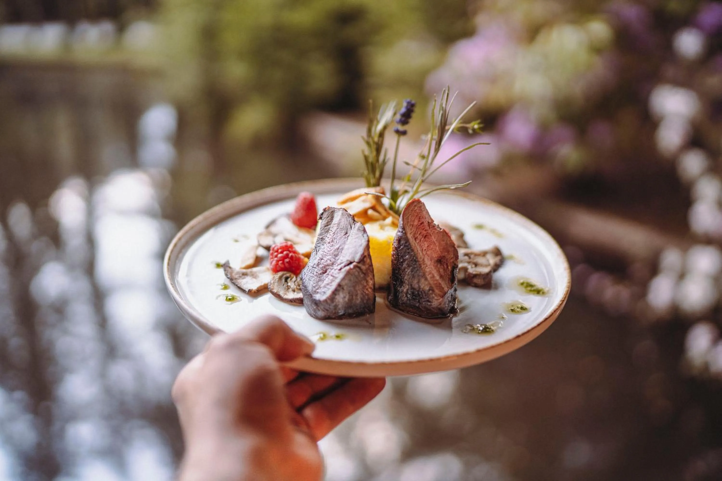 Food in Hotelanlage Starick