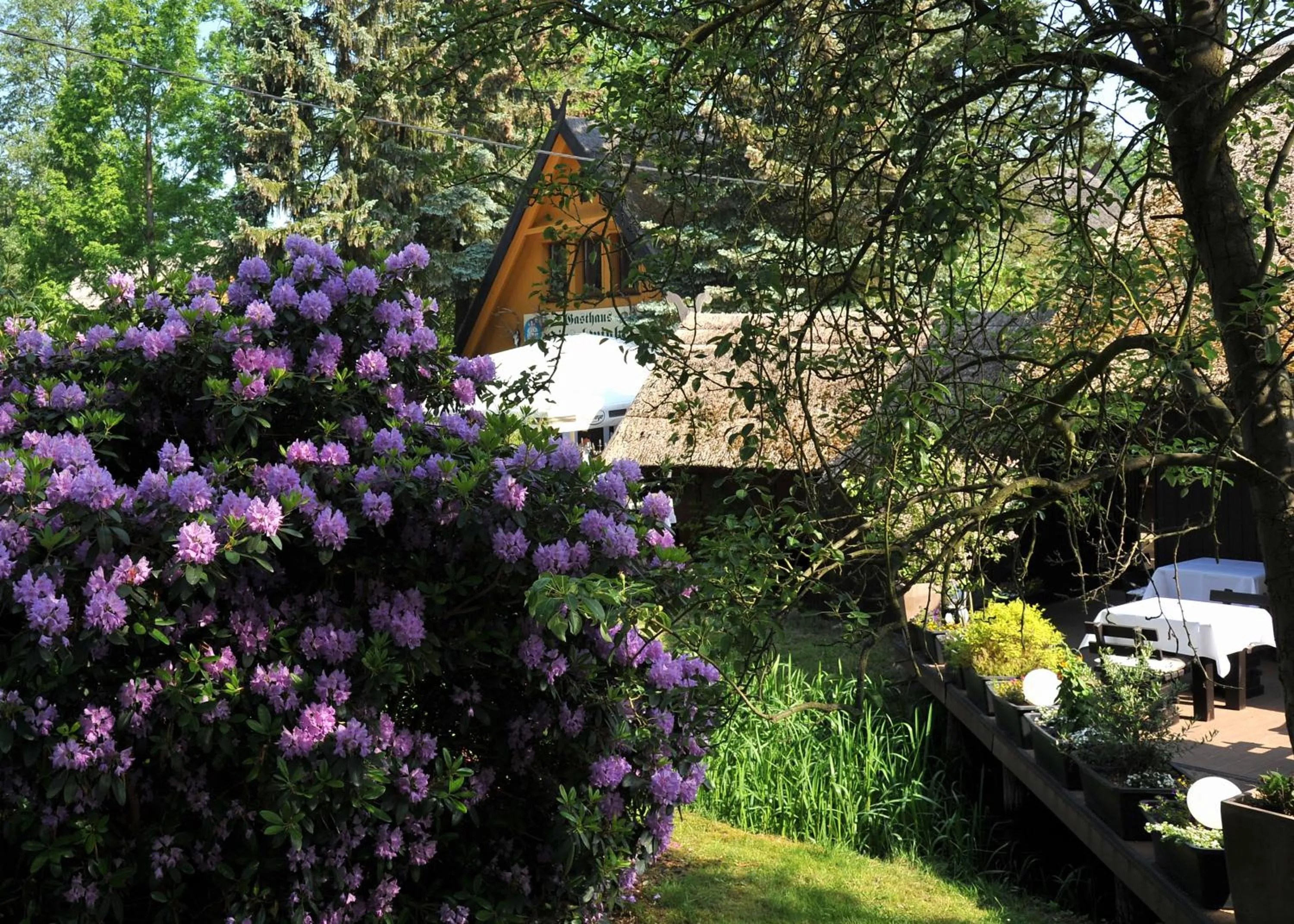 Property building in Hotelanlage Starick