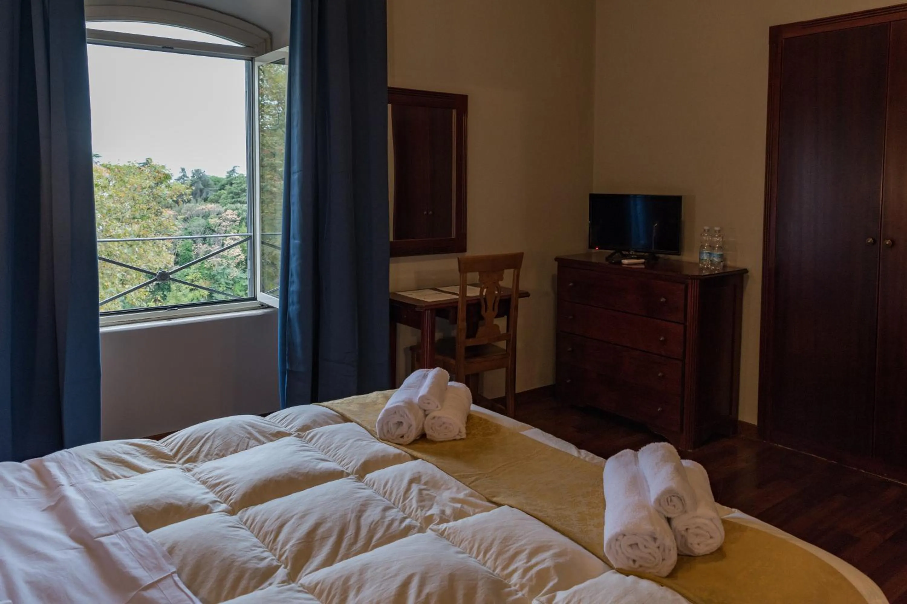 TV and multimedia, Bed in Antica Terrazza Frascati