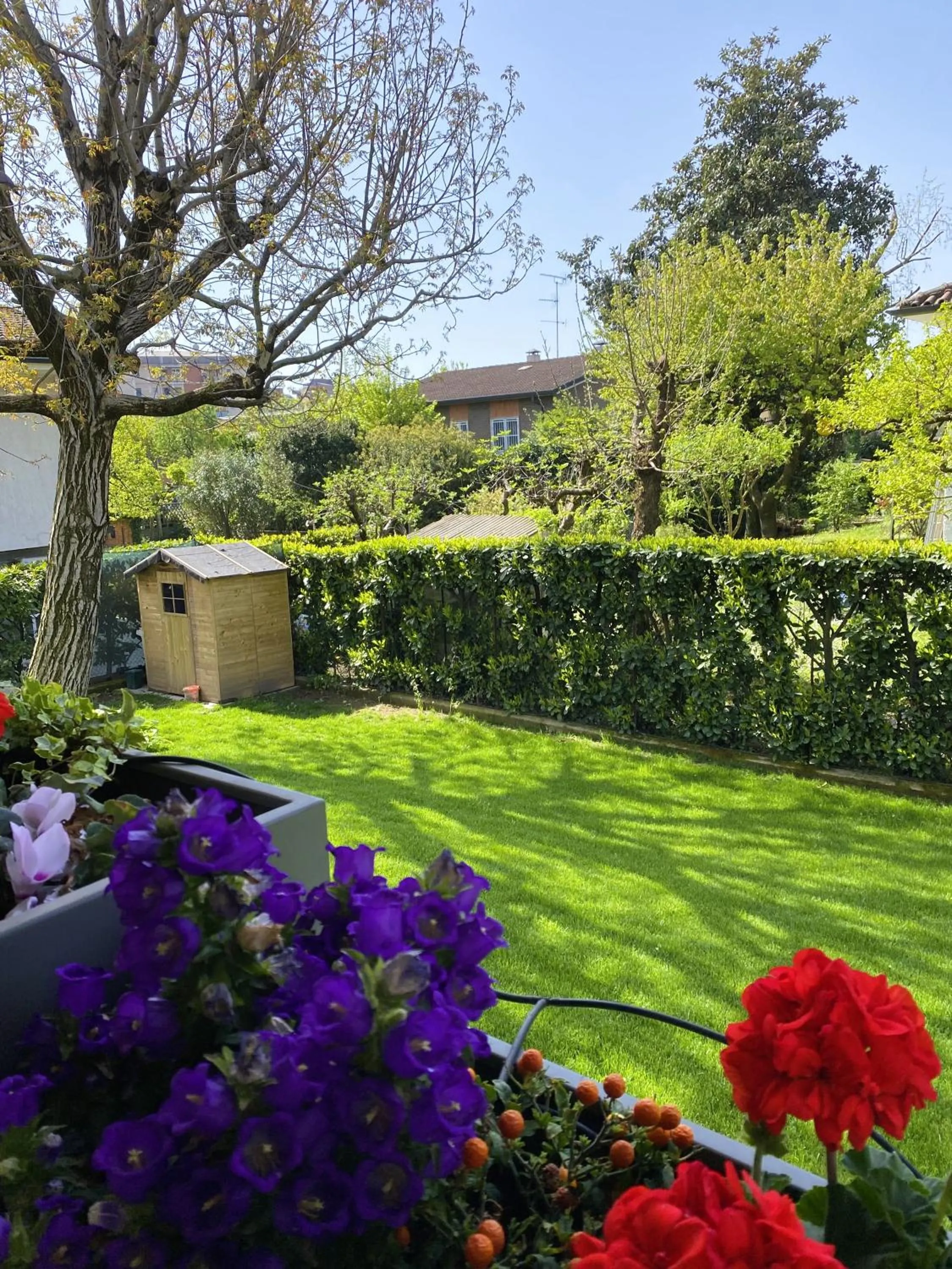 Balcony/Terrace in B&B Villa Tersius