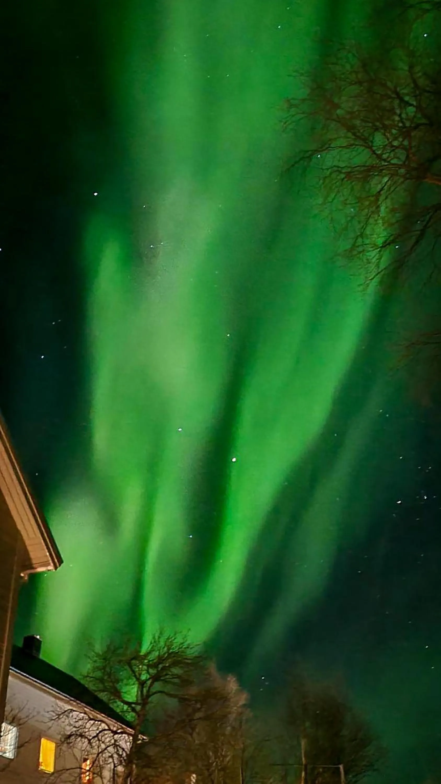 Night in Nordis Apartments