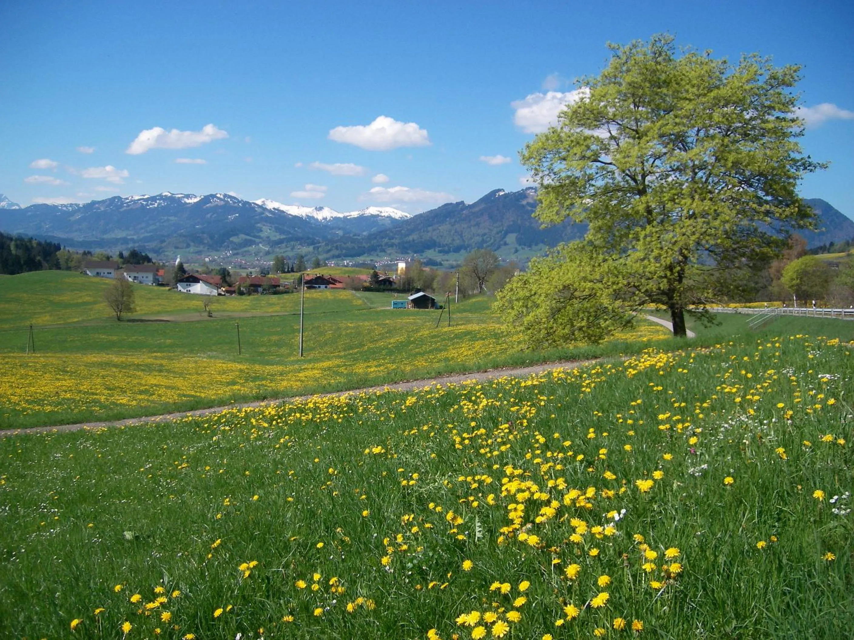 Spring in Hotel und Apartements im Forellenbach