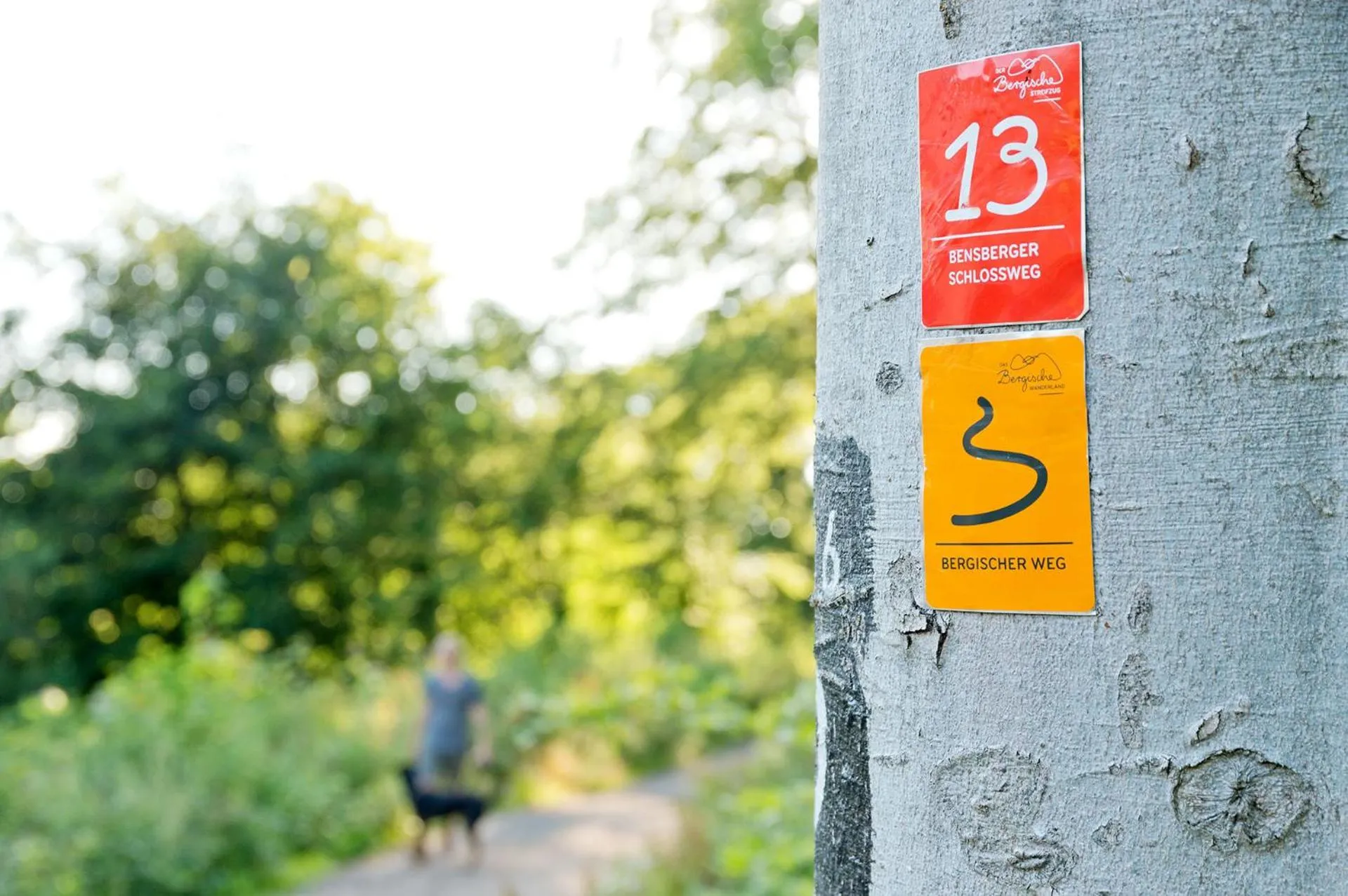 Hiking in Romantik Waldhotel Mangold