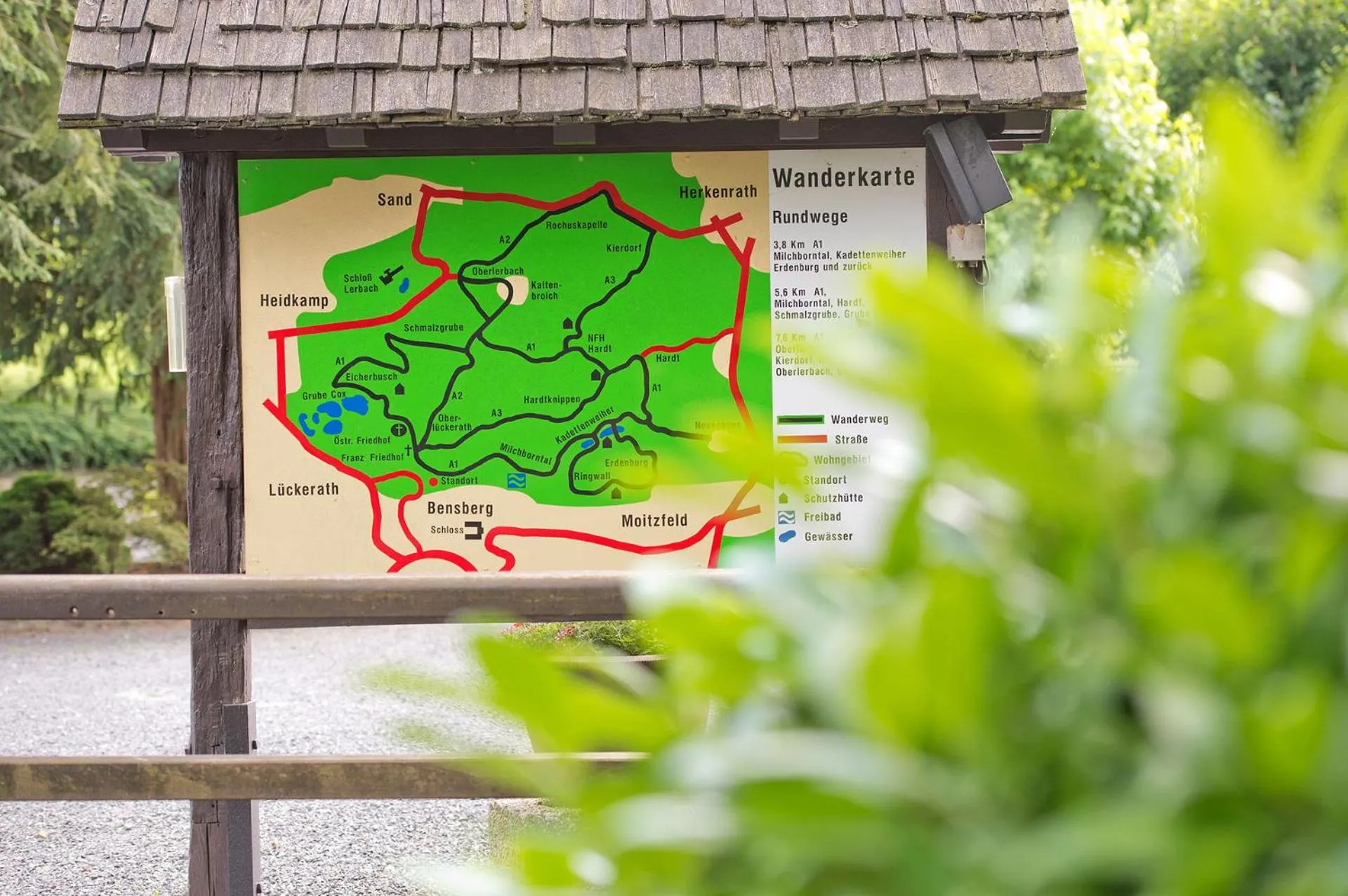 Hiking in Romantik Waldhotel Mangold