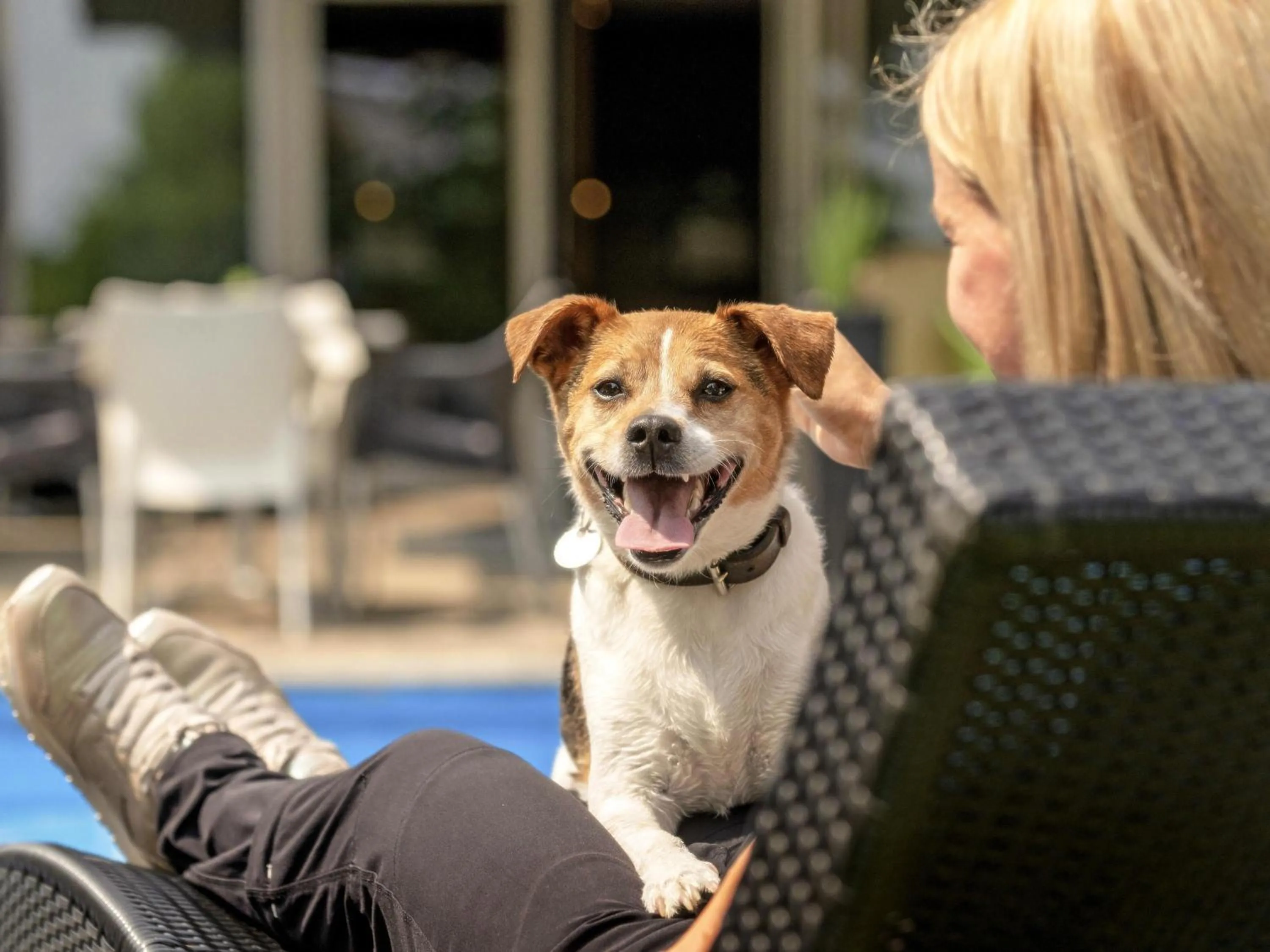 Other in Mercure Aachen Europaplatz