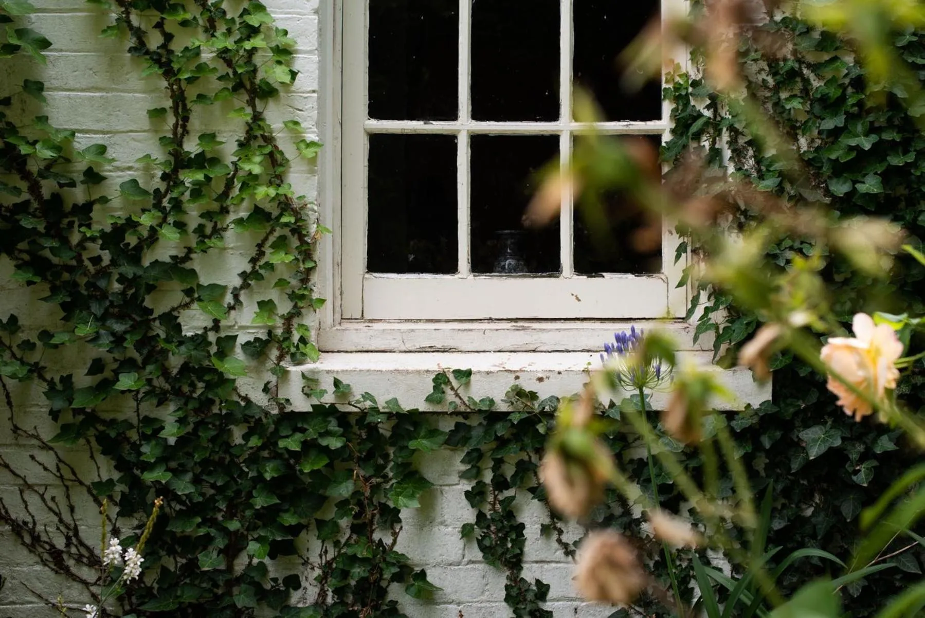 Garden view in Fitzpatricks Inn