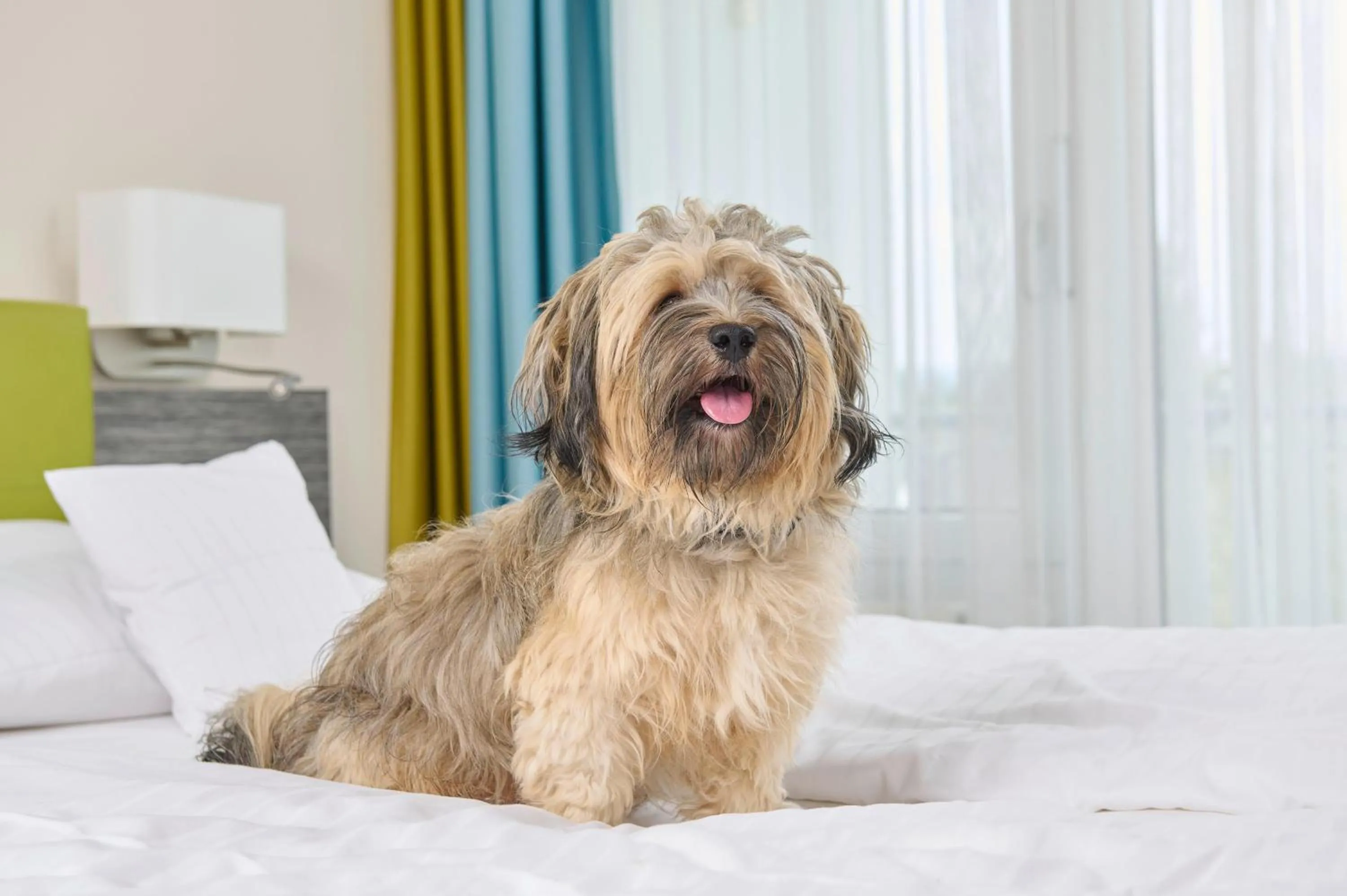 Pets in MASEVEN Stuttgart SI Centrum ehem SI-SUITES