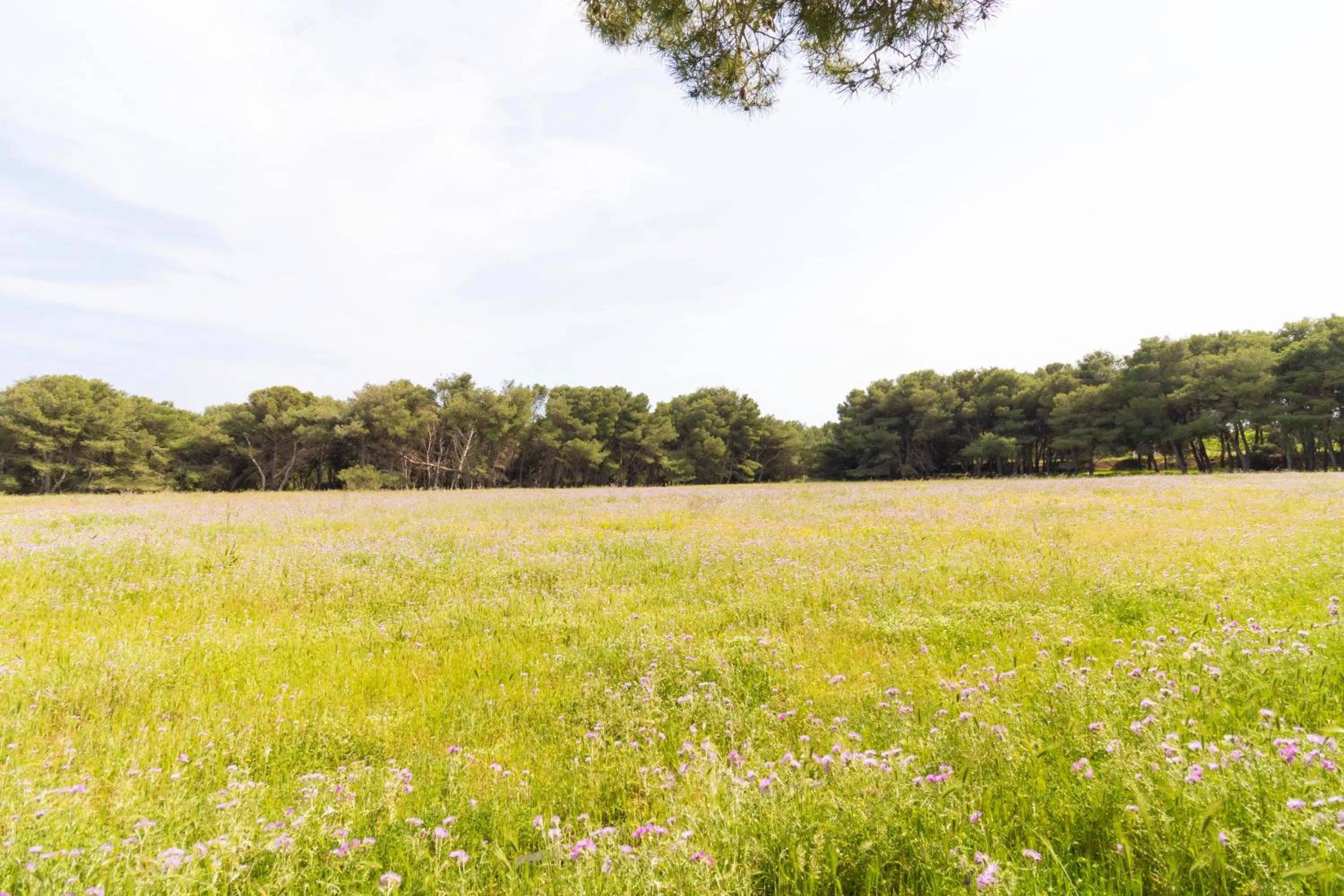 Holiday house marzia in Otranto, close beaches.