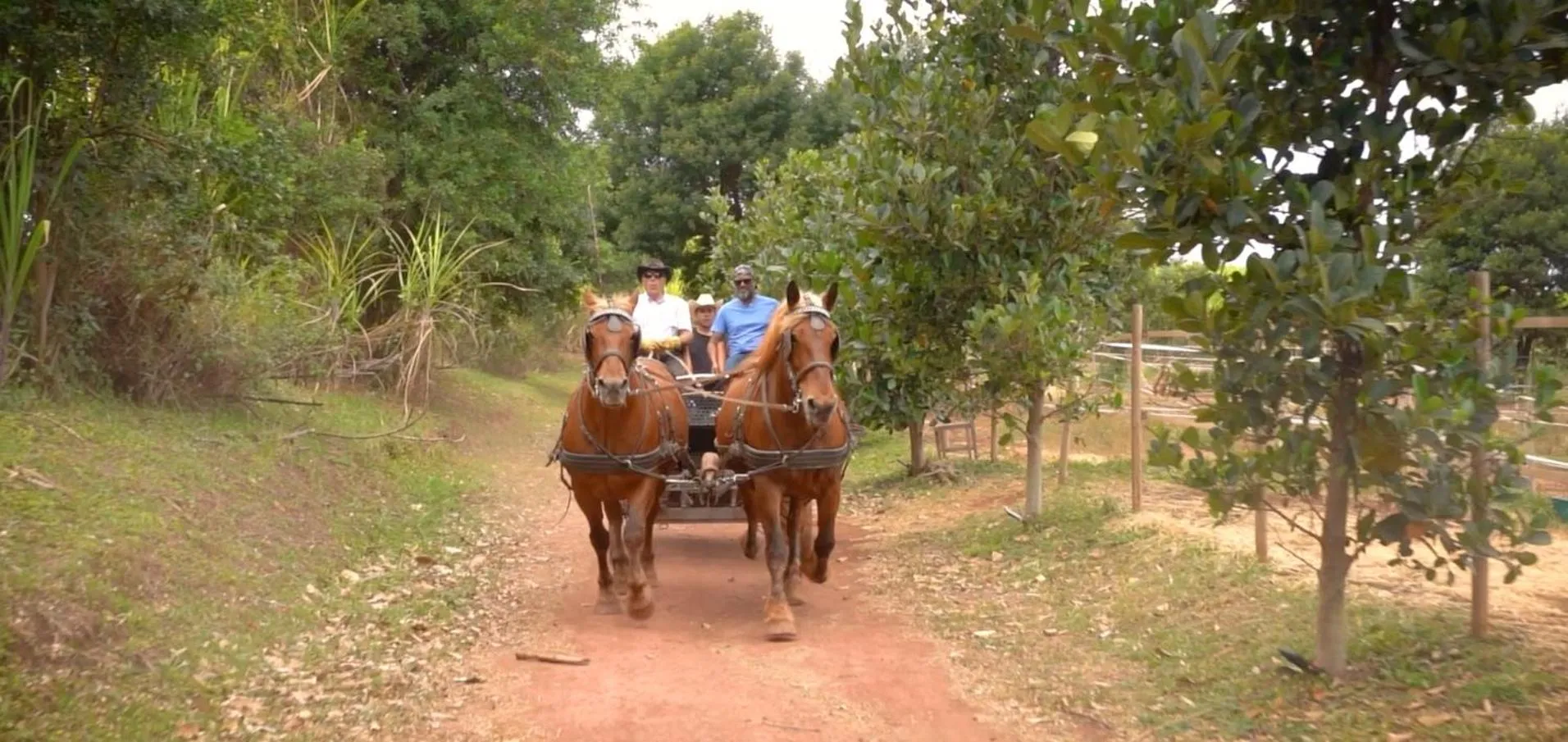 Activities in Gadiamb City