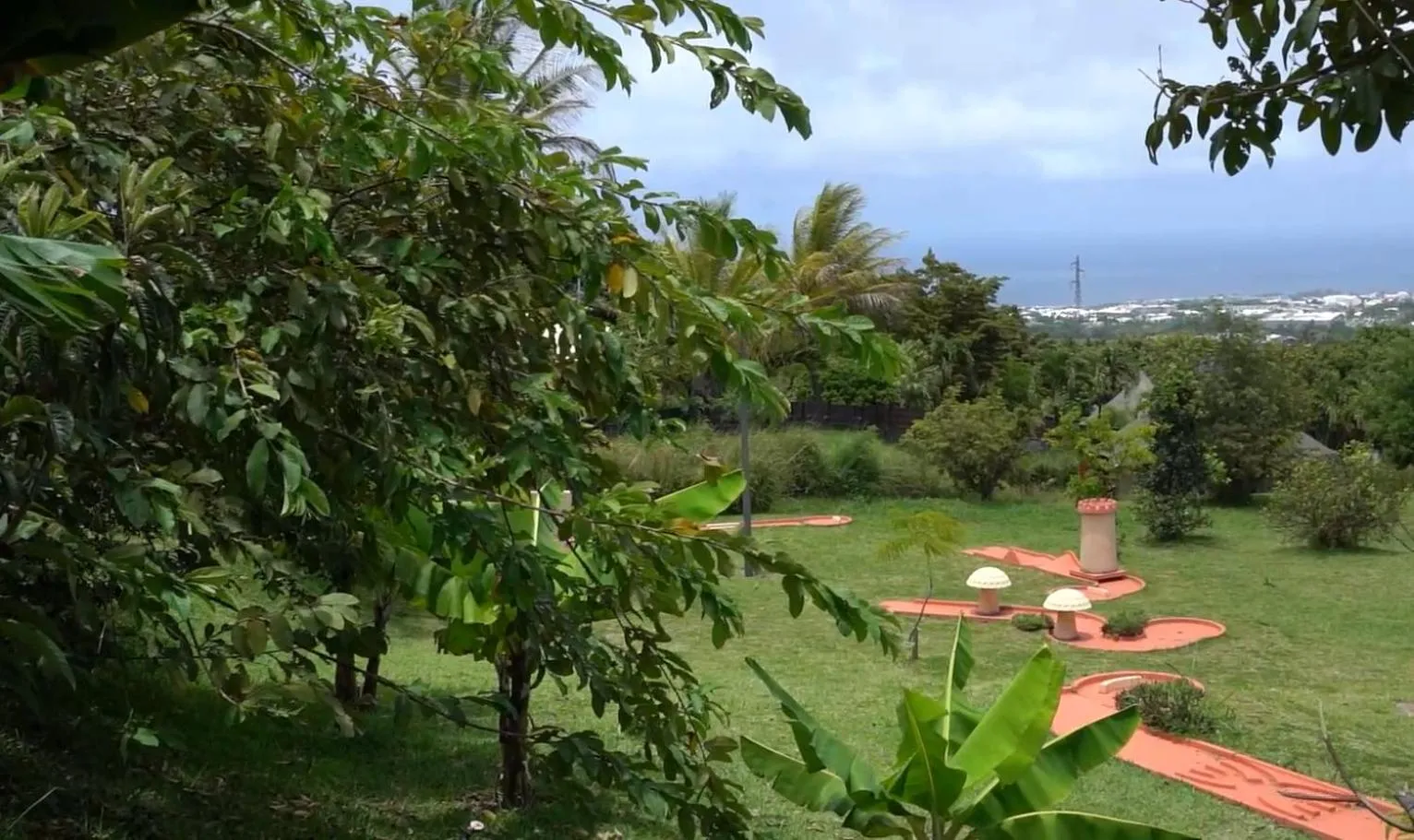 Activities in Gadiamb City