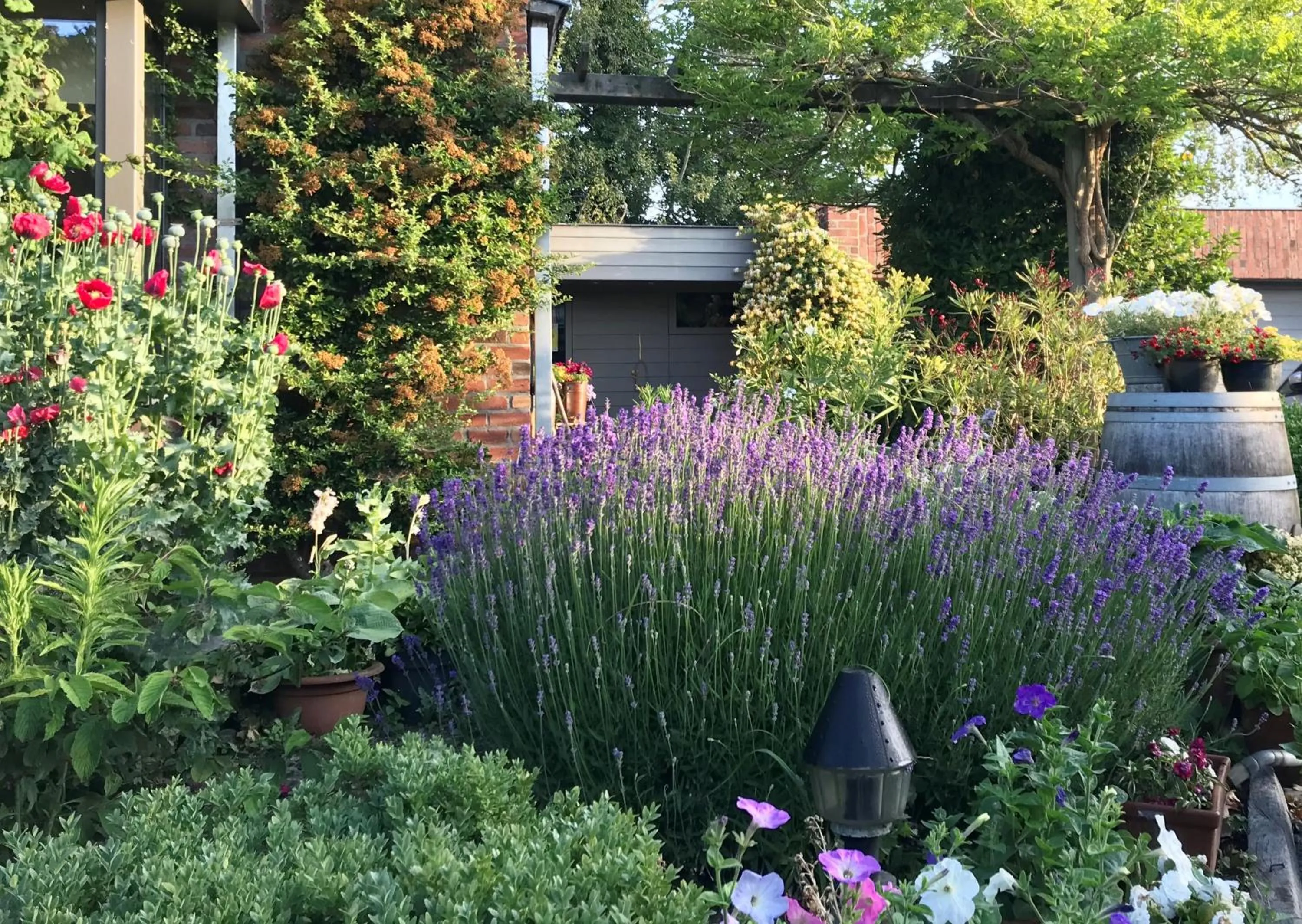 Garden in Grysperre B&B