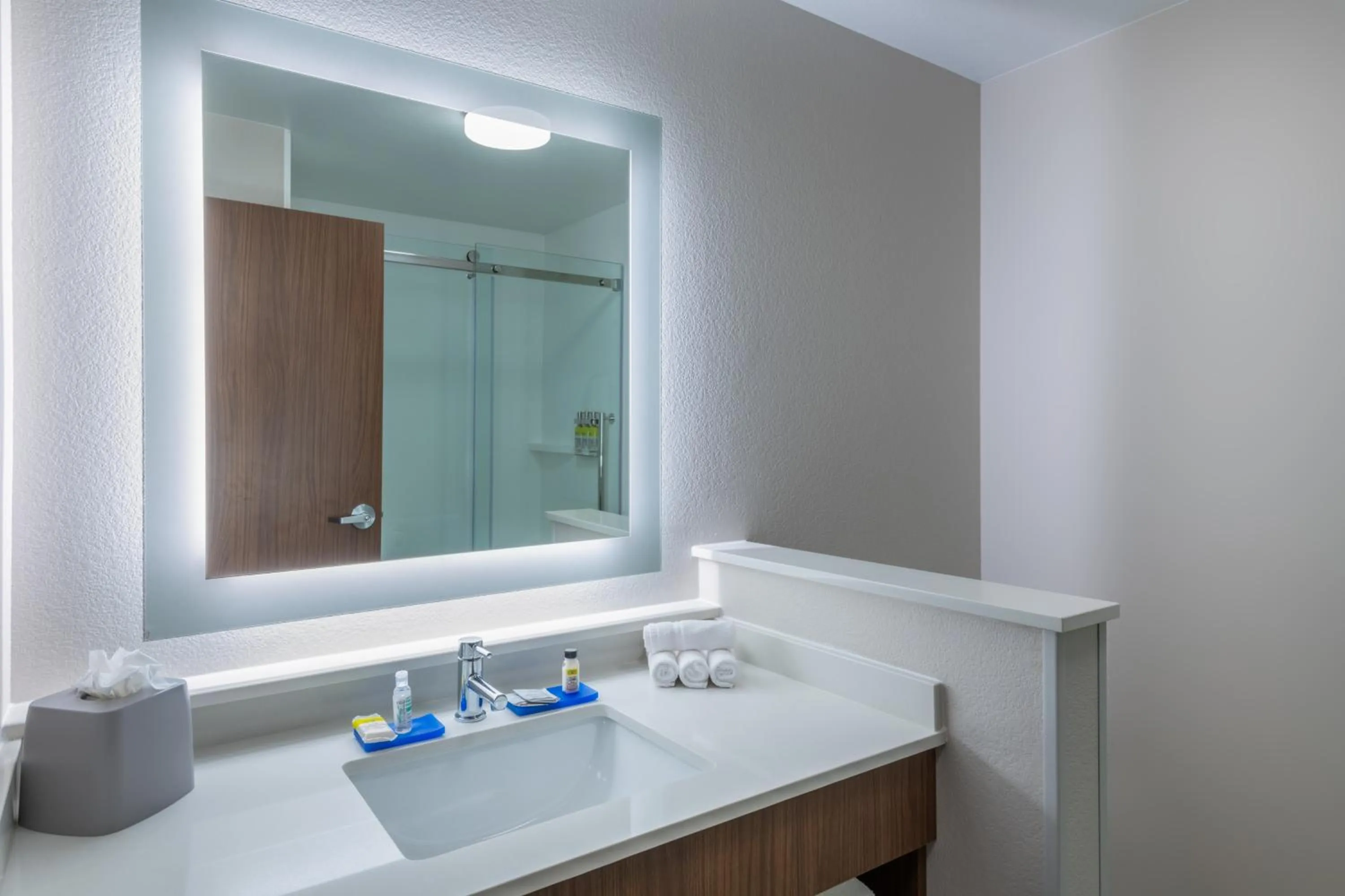 Bathroom in Holiday Inn Express & Suites - Colorado Springs South I-25 by IHG