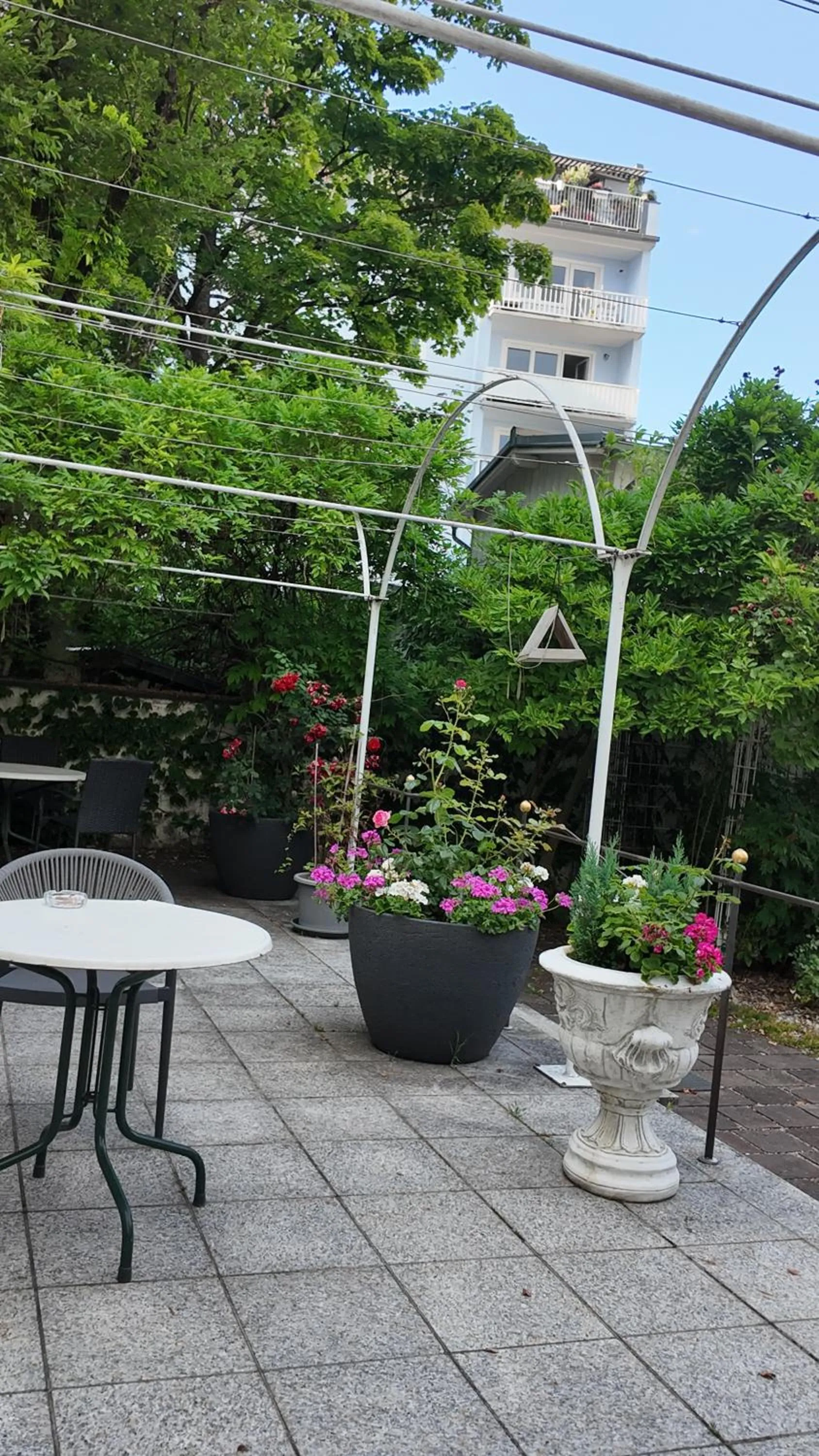 Garden in Hotel Aurbacher Hof GmbH