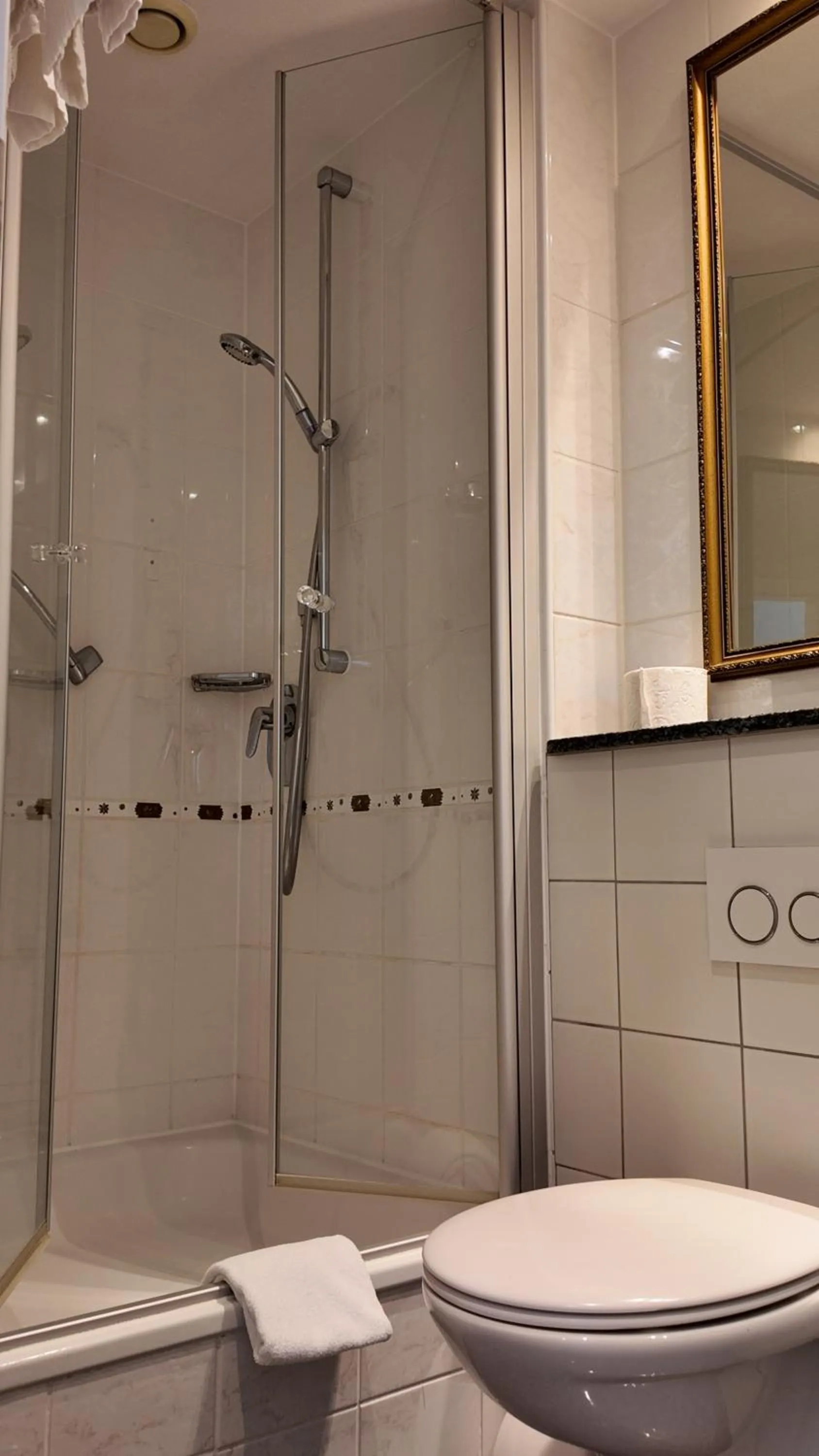 Shower in Hotel Aurbacher Hof GmbH