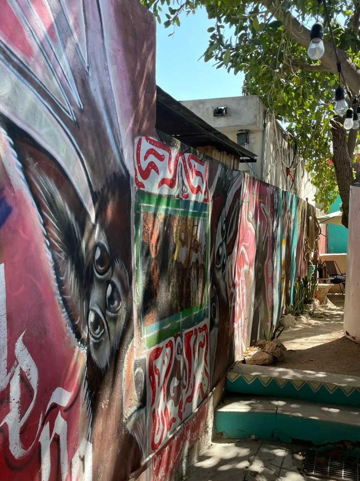 View (from property/room) in La Casa del Kéej Hostel