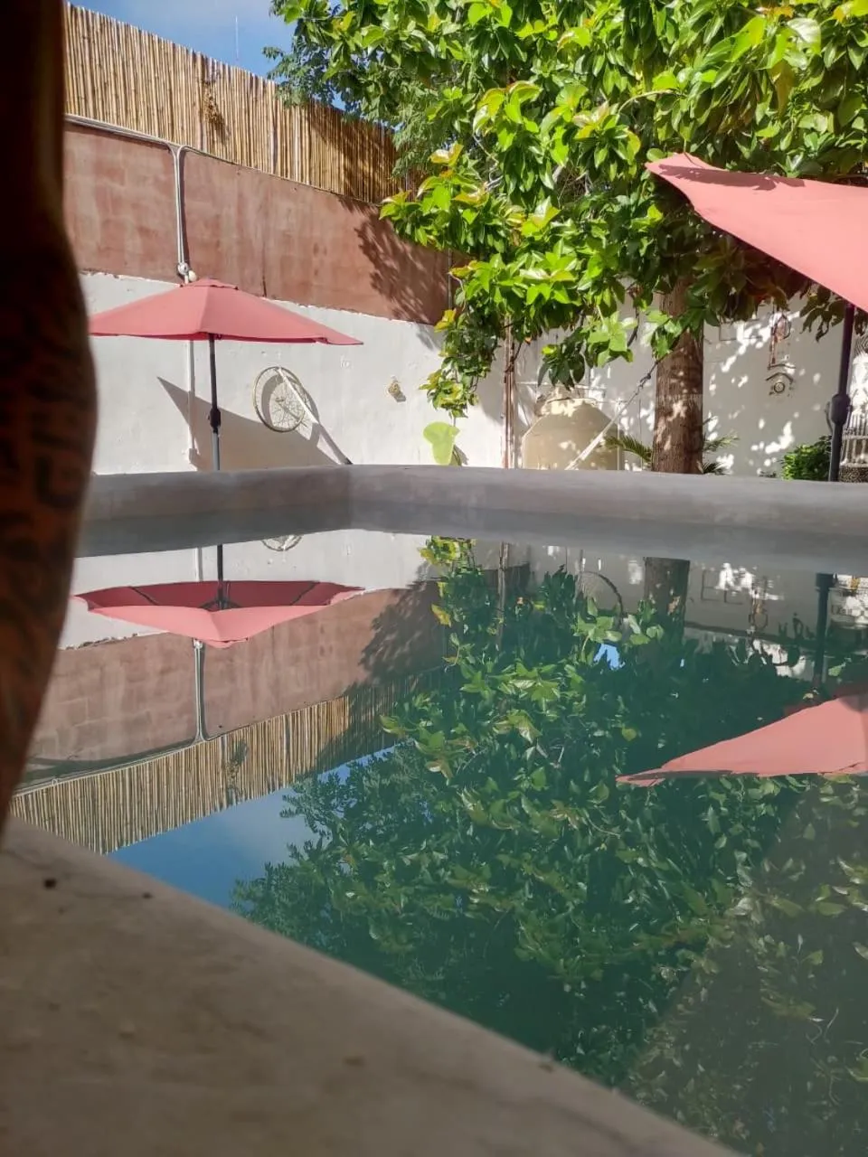 Kitchen or kitchenette in La Casa del Kéej Hostel