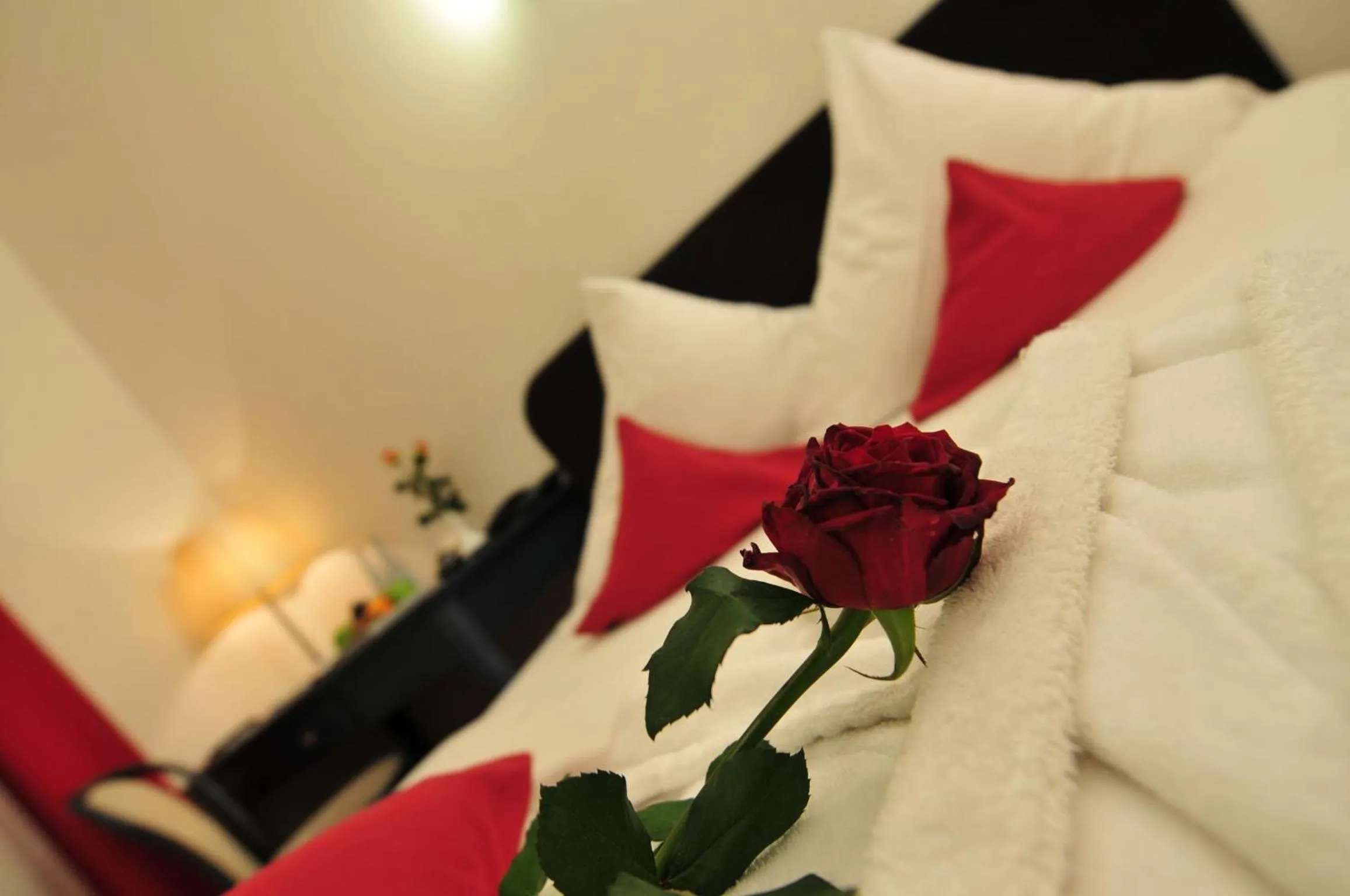 Decorative detail, Bed in Cerano City Hotel Köln am Dom