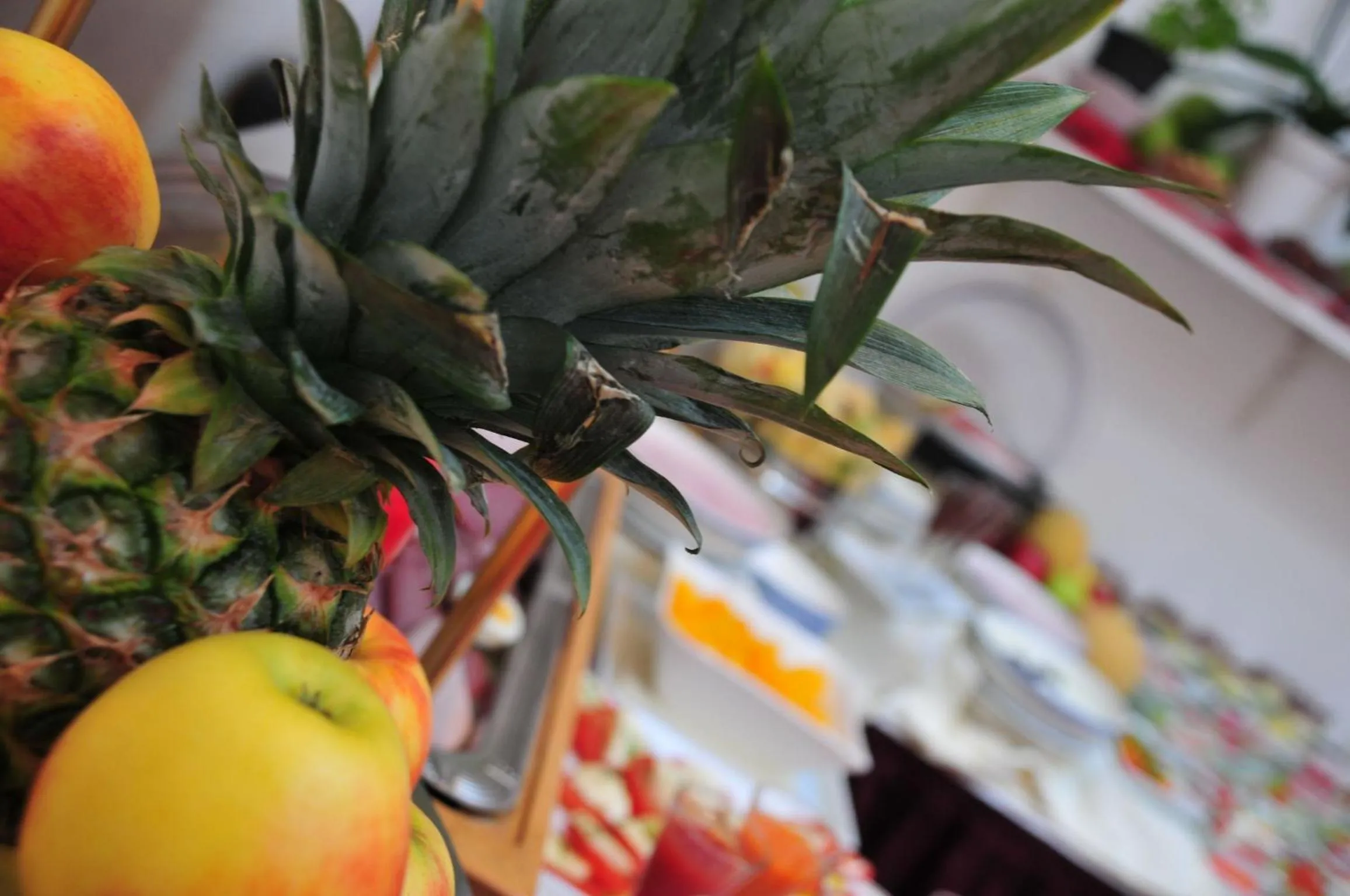 Food and drinks in Cerano City Hotel Köln am Dom