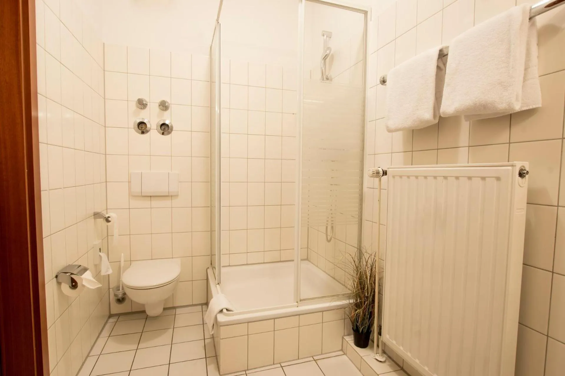 Shower in Hotel Dampfmühle