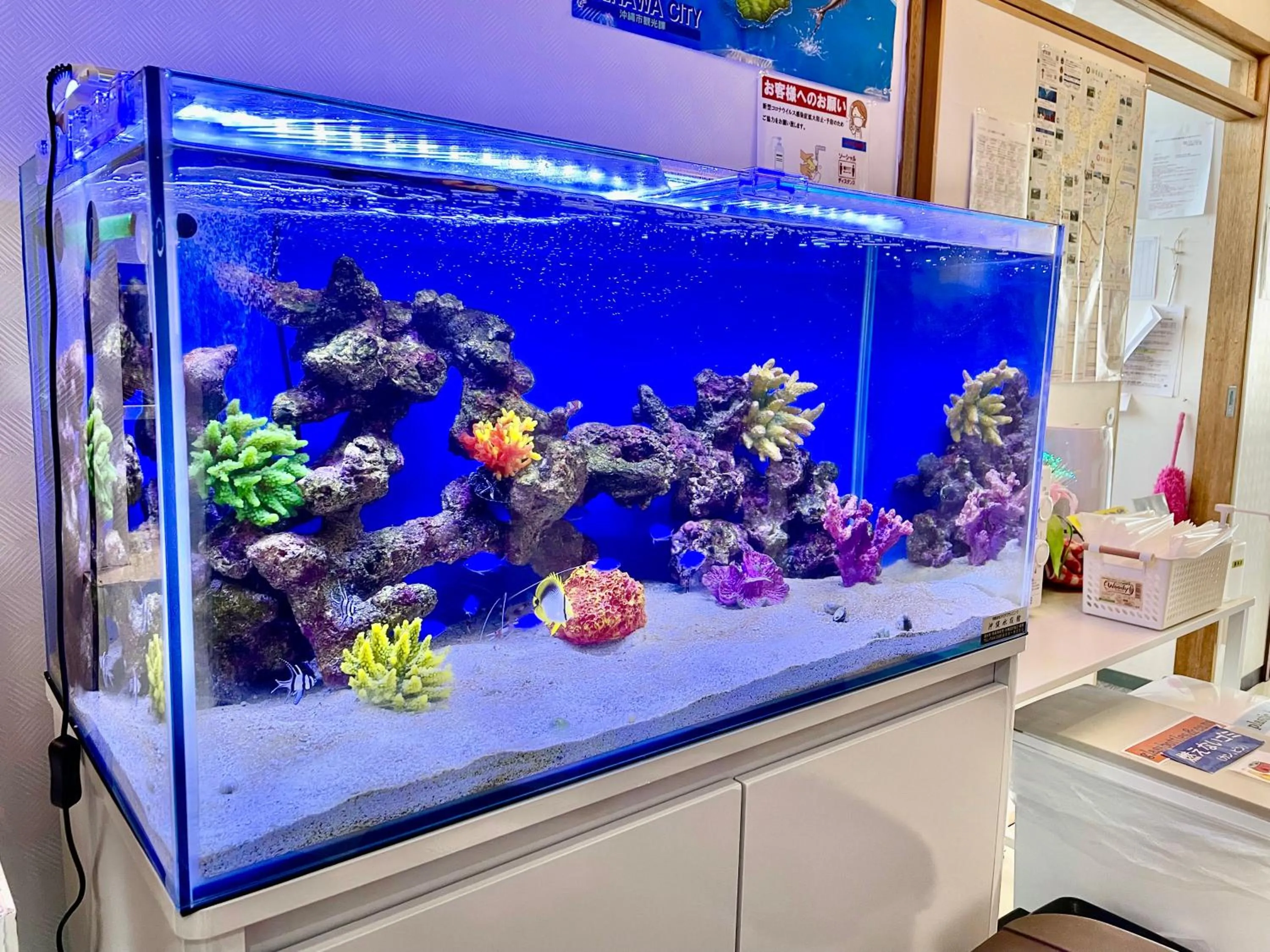 Area and facilities in Time Rich