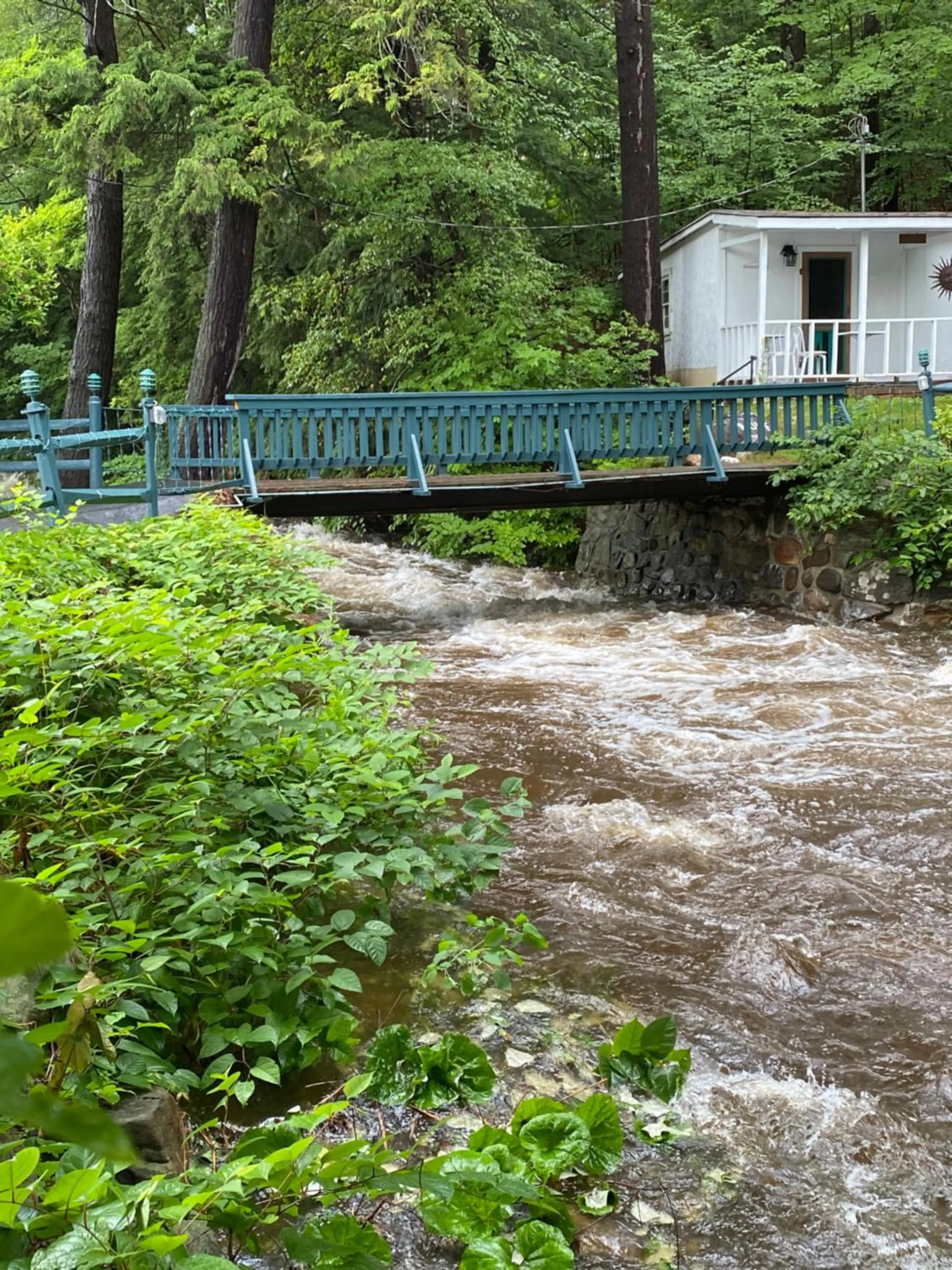 Brookside Motel & Cabins