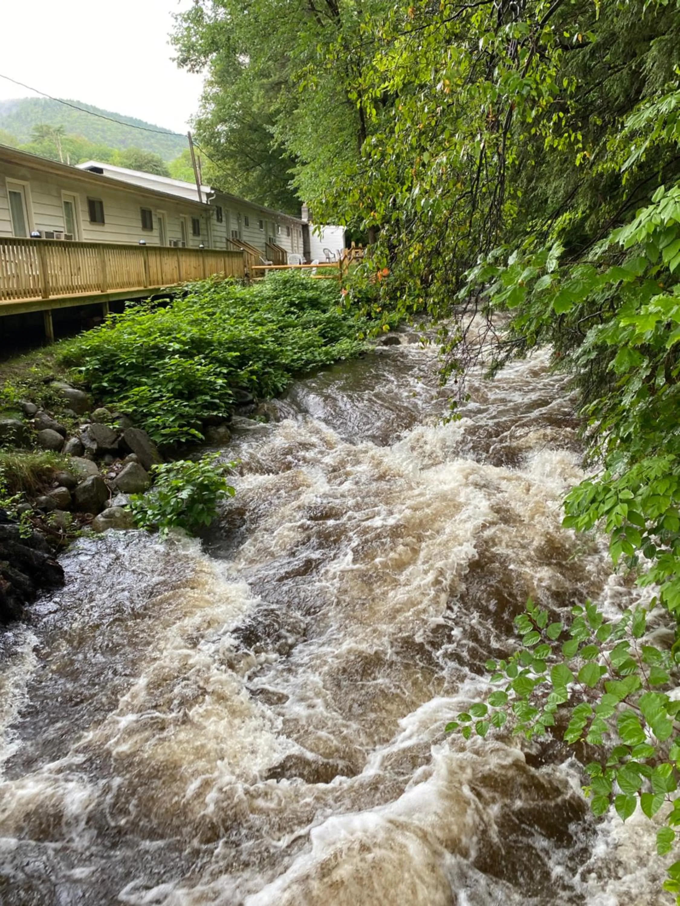 Brookside Motel & Cabins