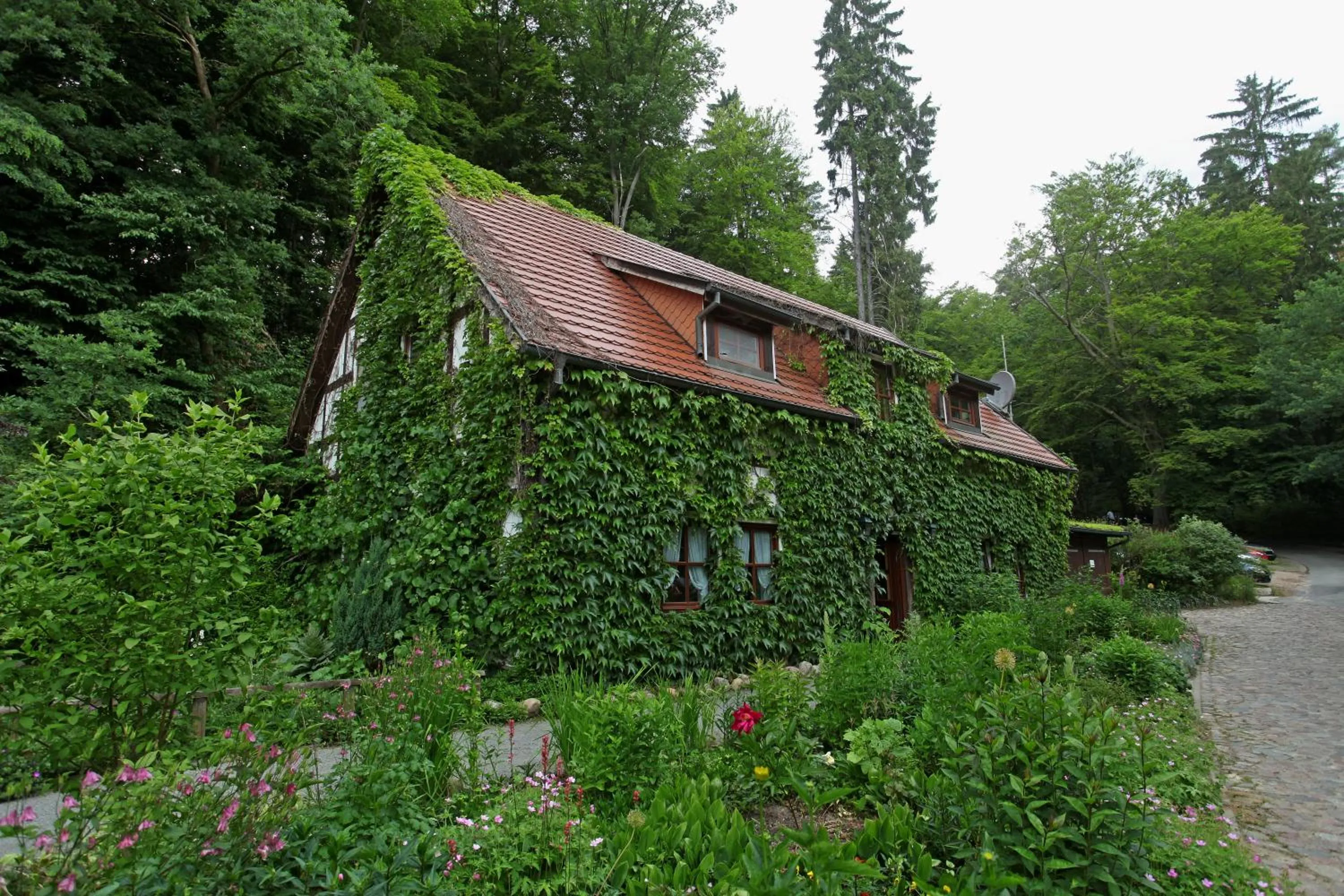 Facade/entrance in Hotel Boltenmühle