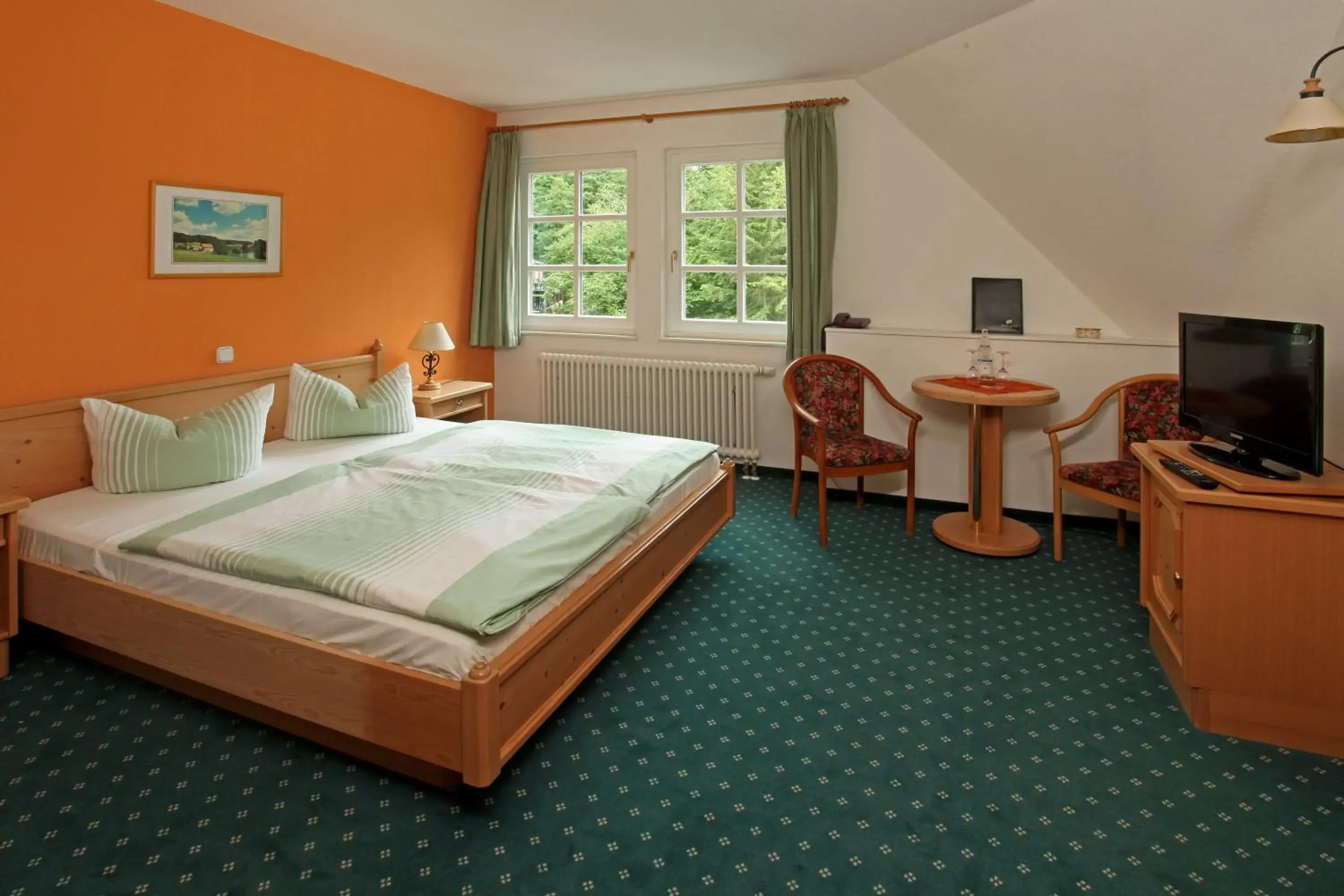 Double Room - single occupancy in Hotel Boltenmühle Double Room - single occupancy in Hotel Boltenmühle