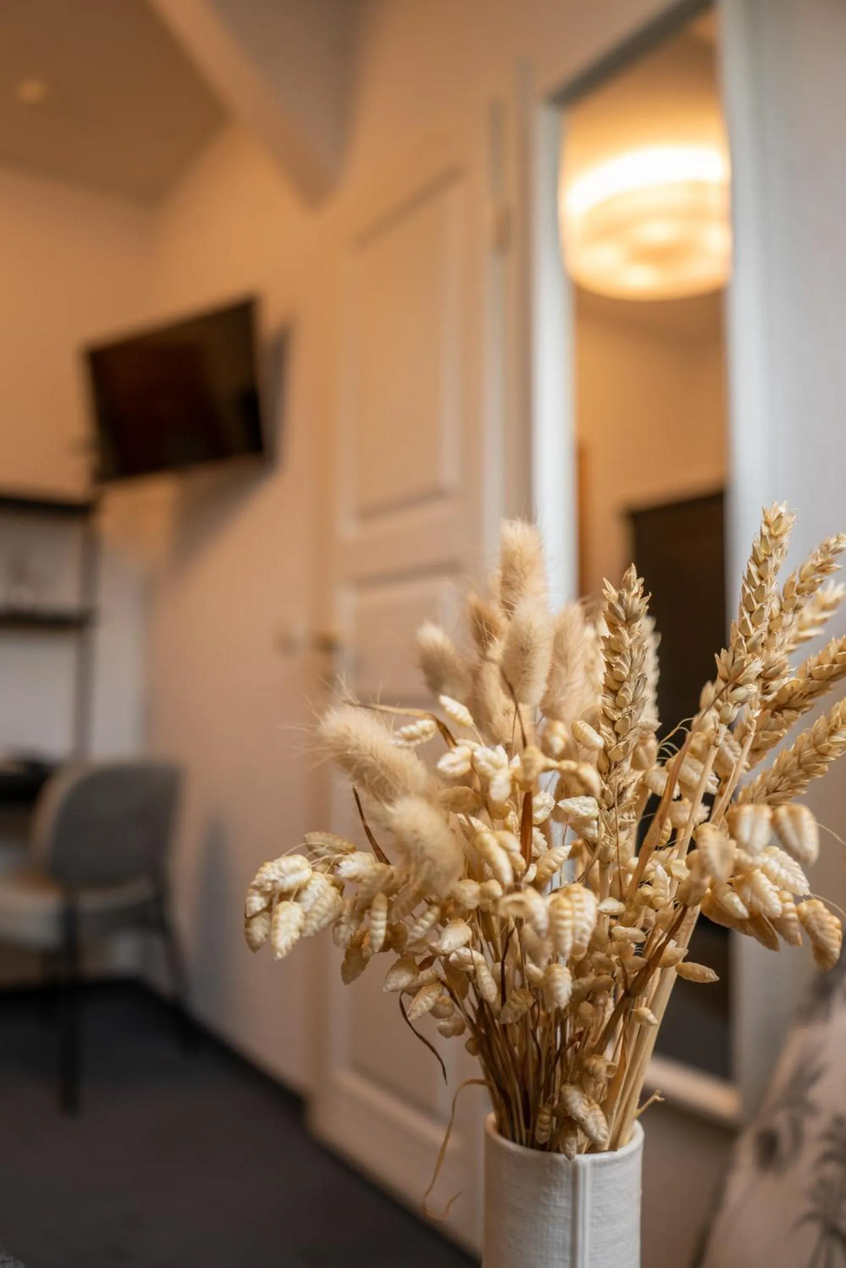 TV and multimedia in Hotel & Restaurant Am Alten Rhin