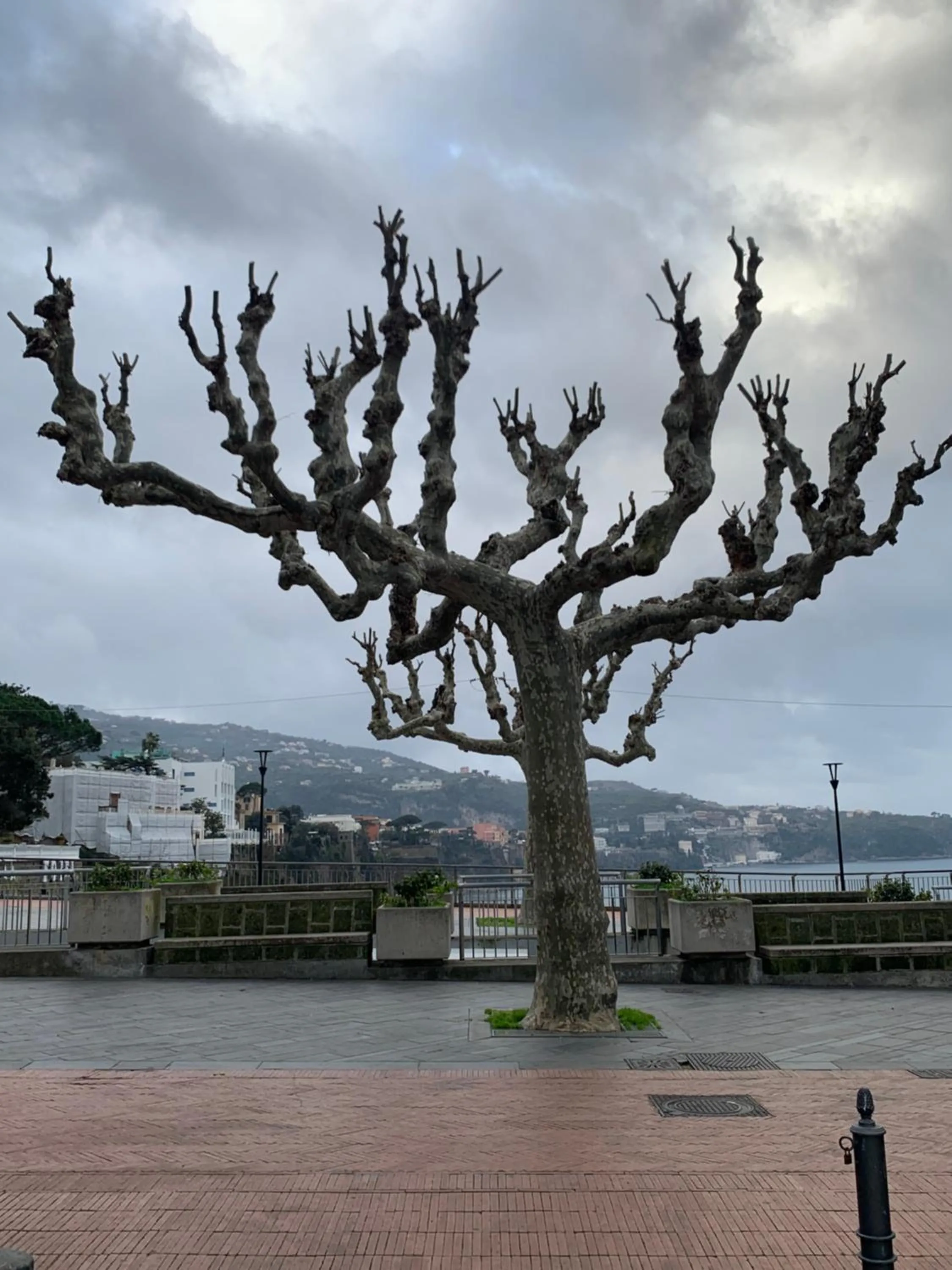 Nearby landmark in la dimora di Cornelia