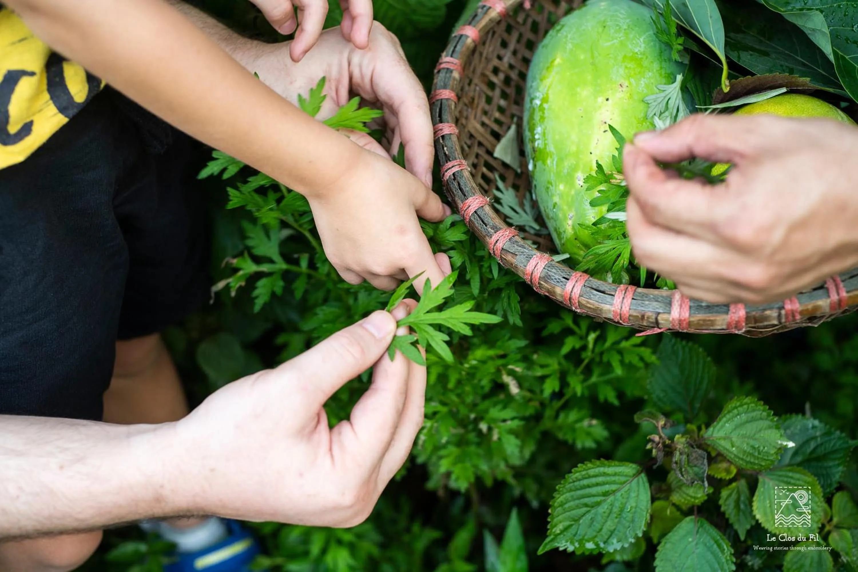 Activities in Le Clos Du Fil