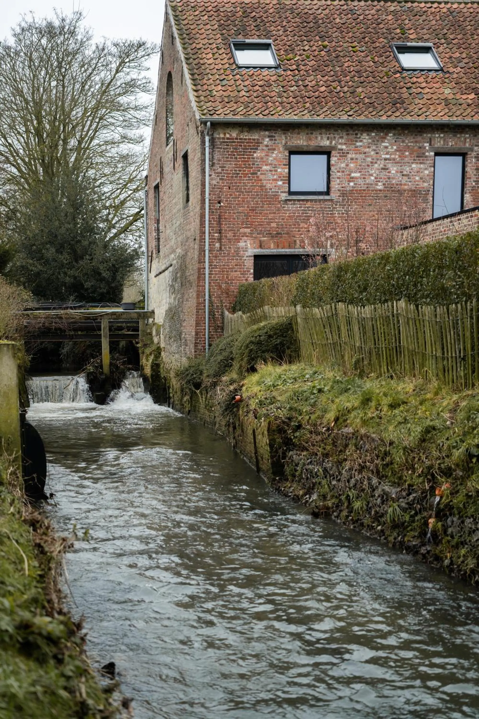 Natural landscape in B&B Langeveldemolen