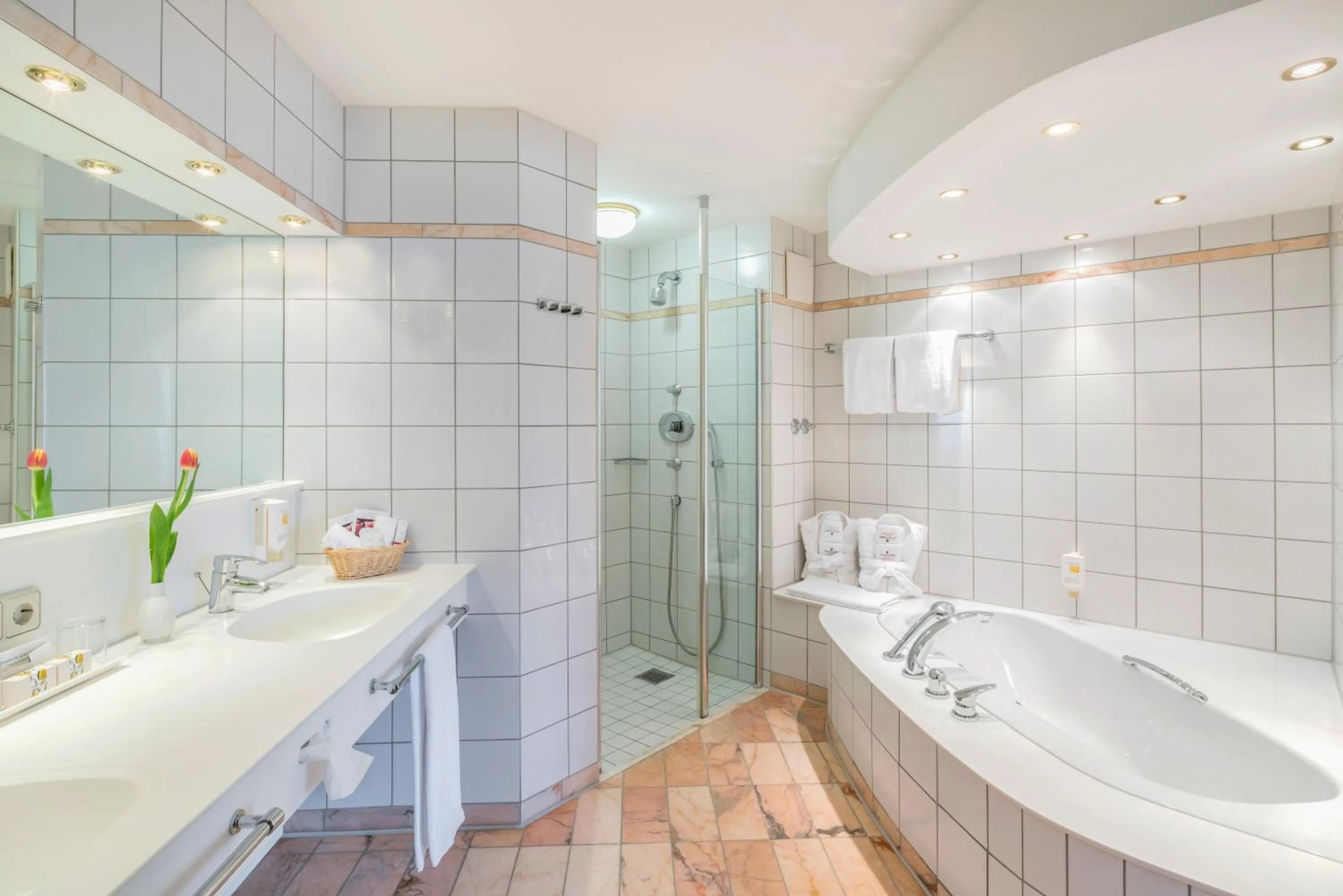 Toilet in Seminaris Hotel Bad Boll