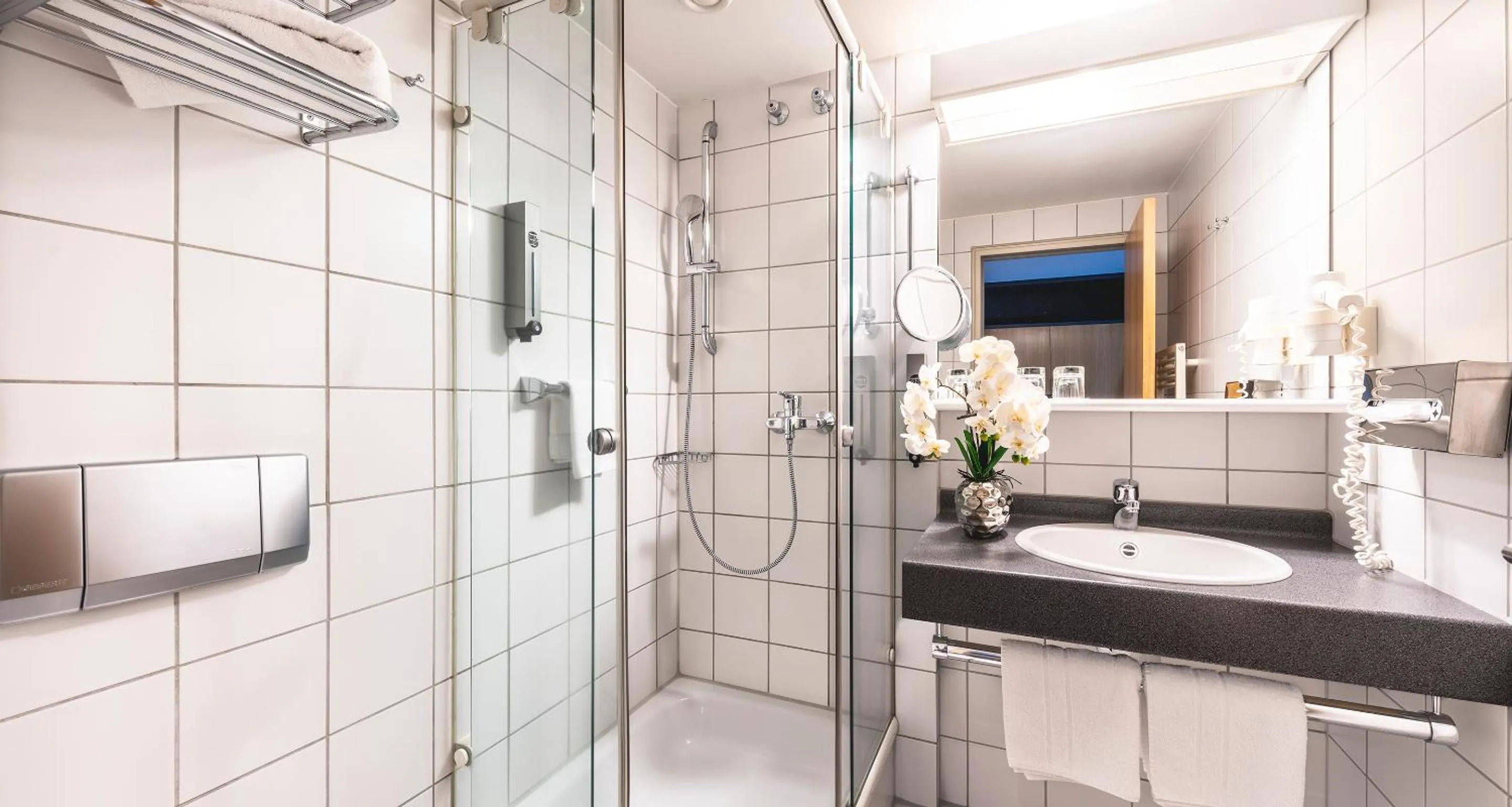 Shower in PLAZA INN Heidehof