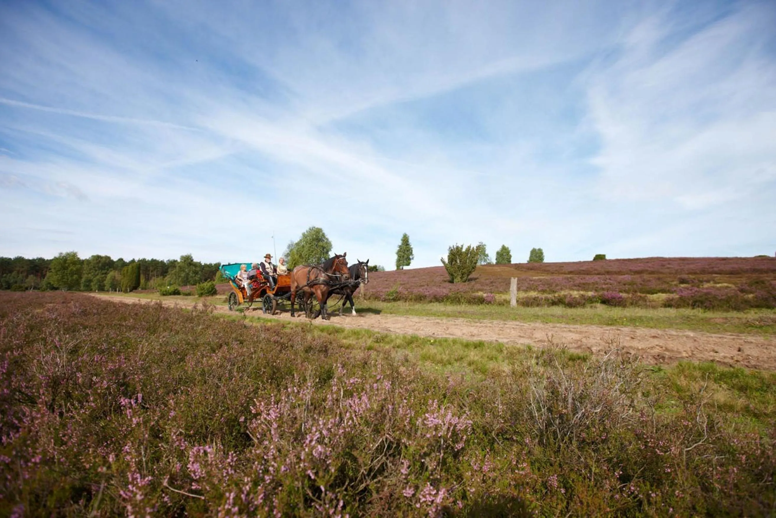 Horse-riding in Best Western Hotel Heidehof