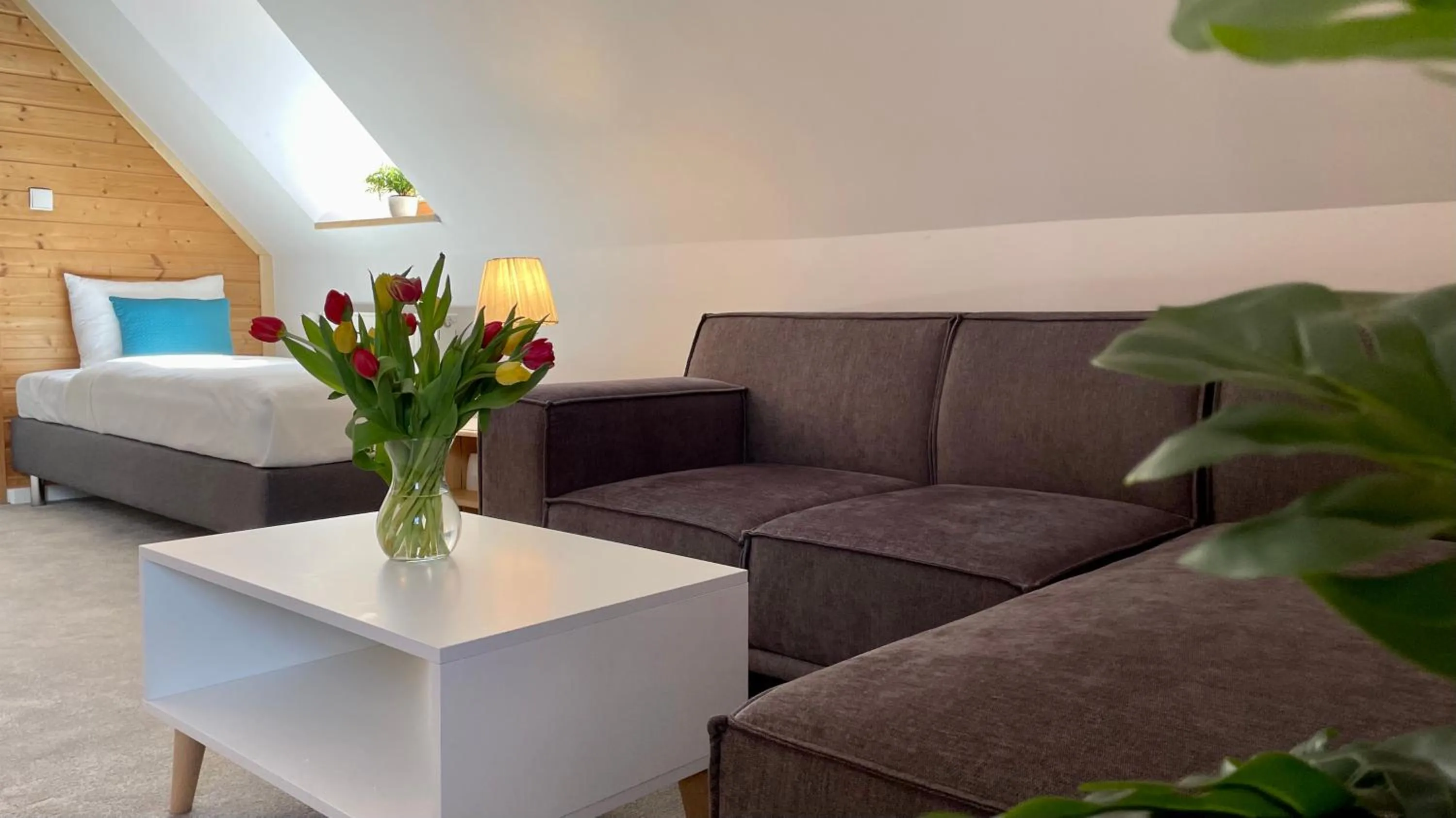 Living room, Bed in Jaszowianka Best For You