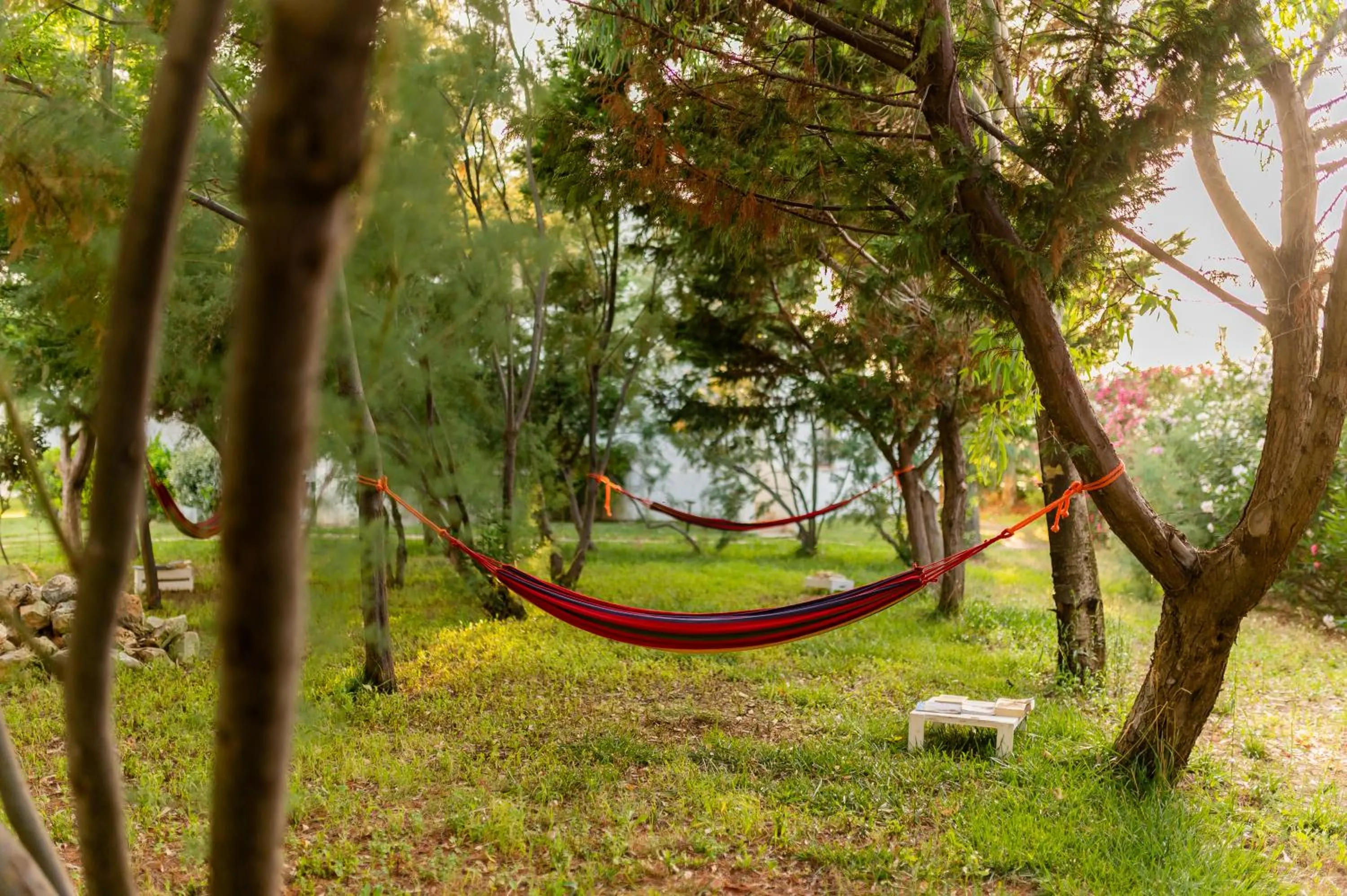 Other in Torre Guaceto Greenblu Resort