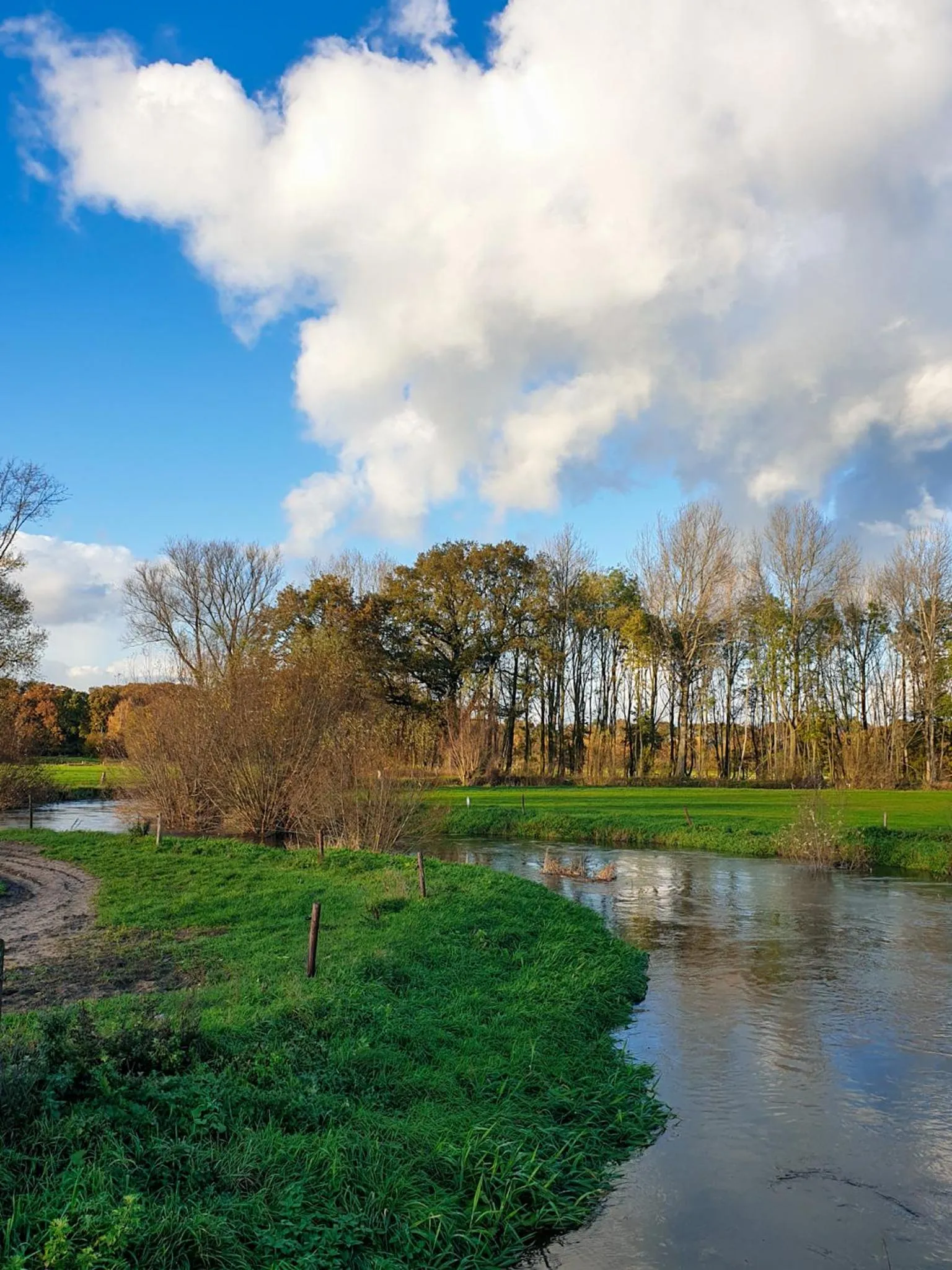 Natural landscape in Erve iemhorst