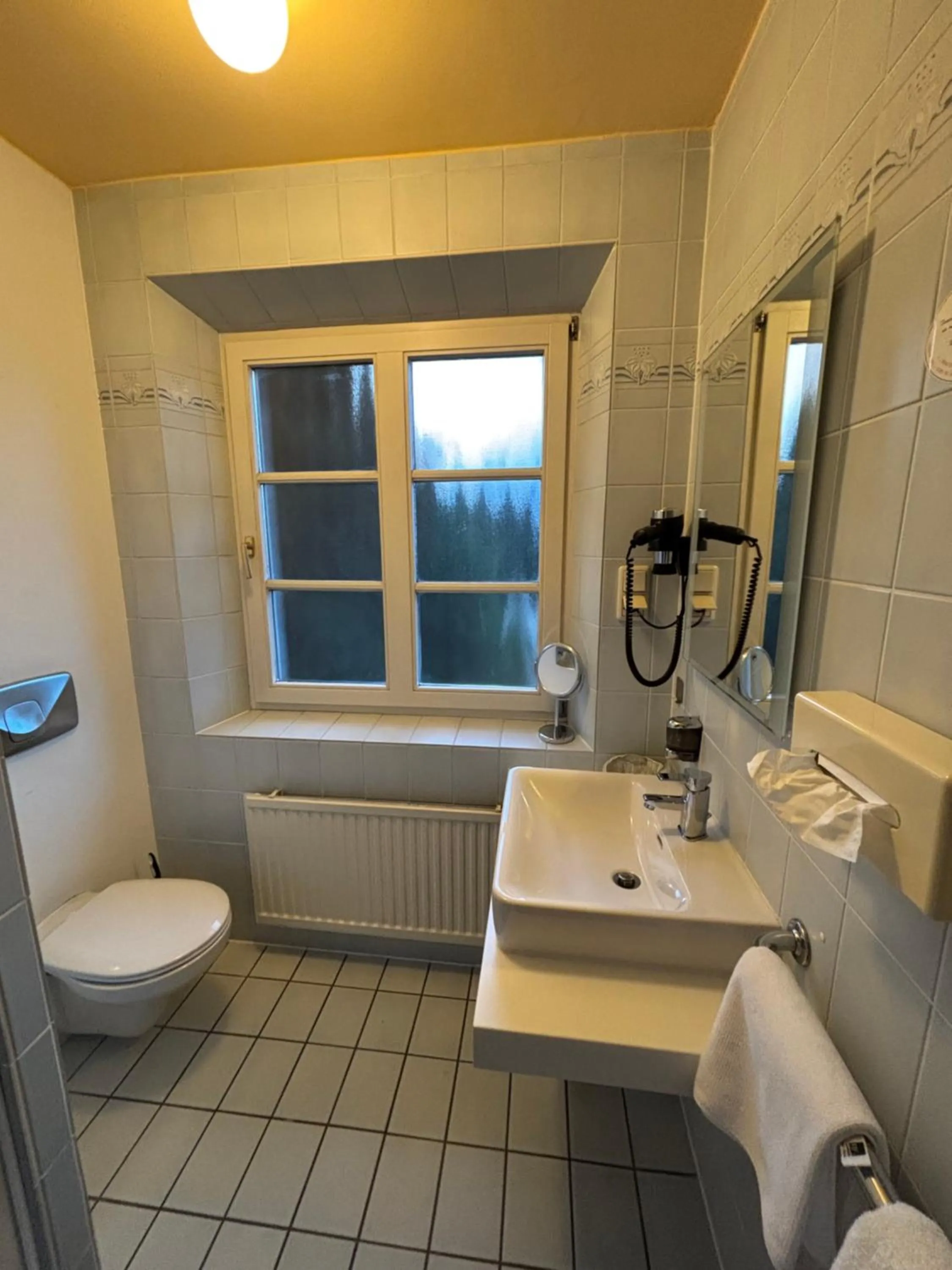 Toilet in Hotel Pontivy