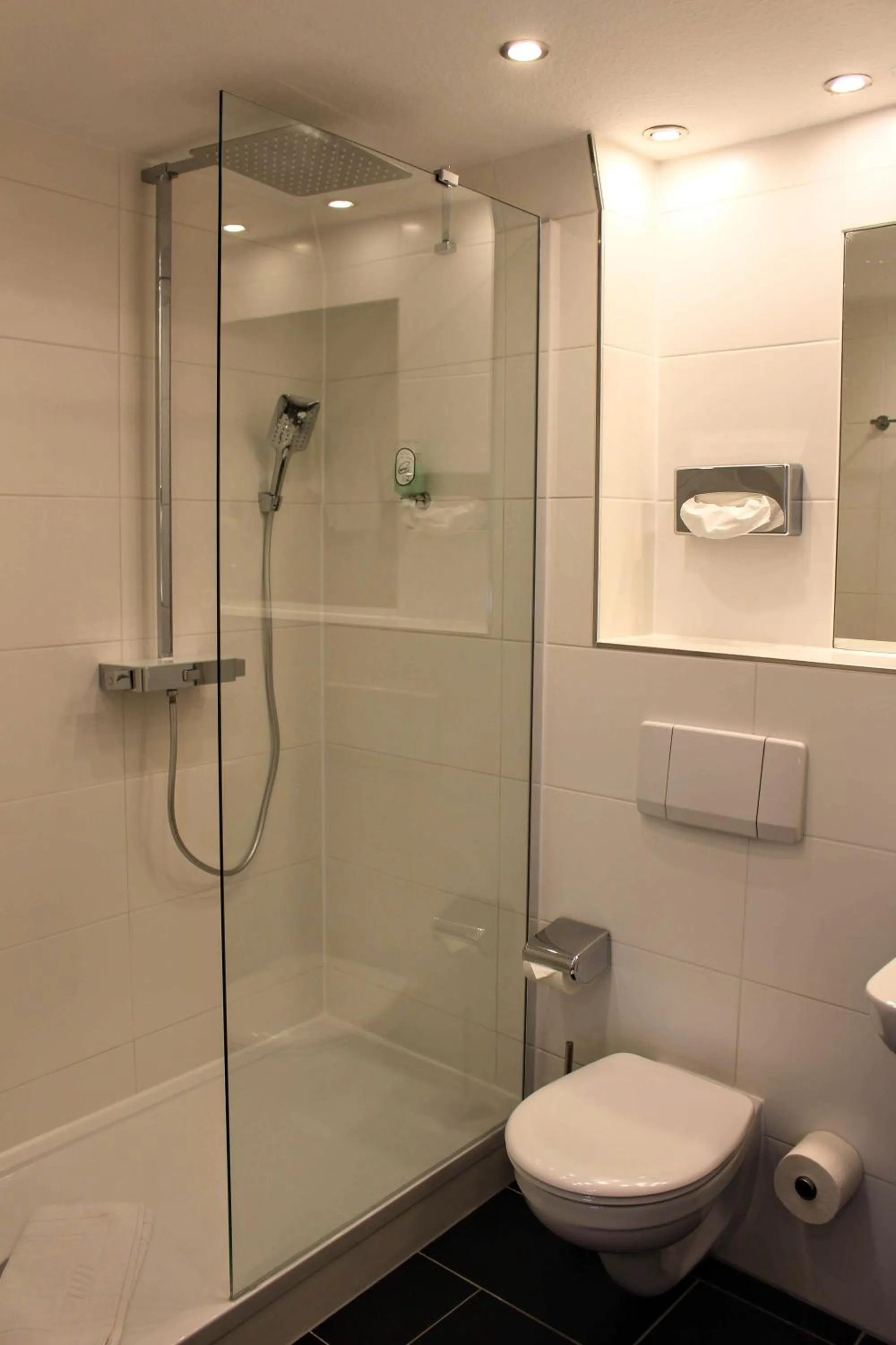 Shower in Hotel Zum Bären