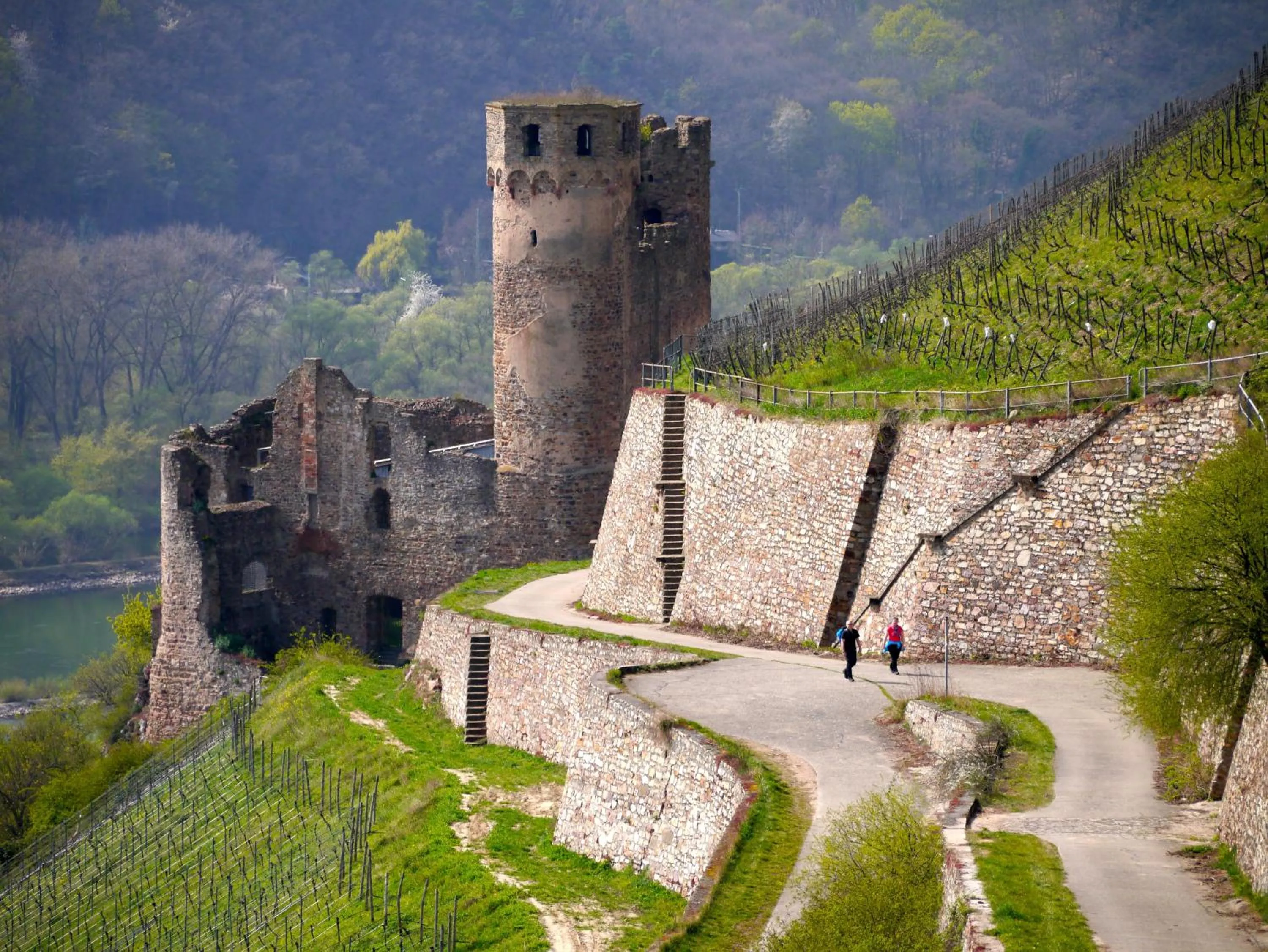 Nearby landmark in Hotel Zum Bären