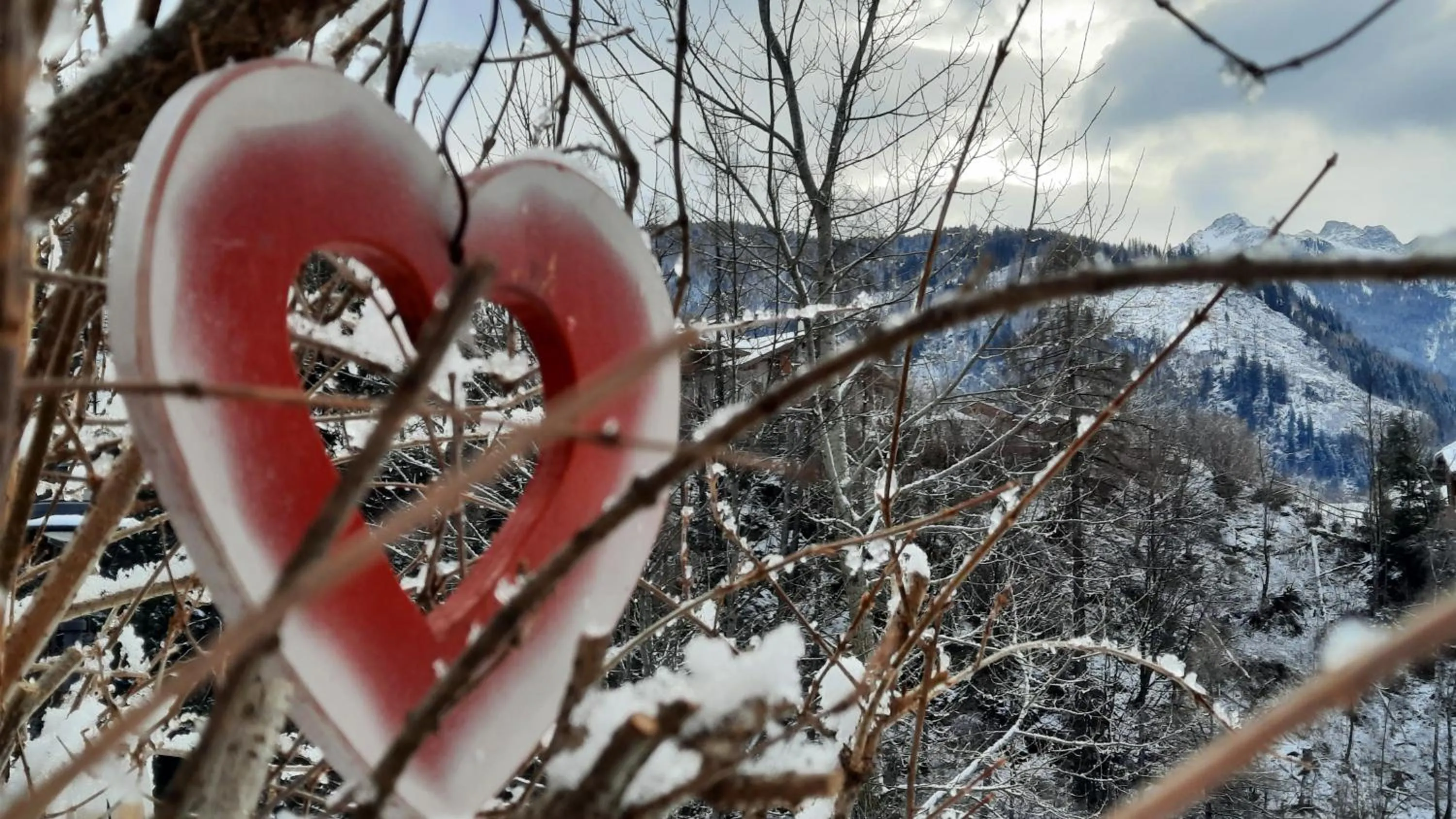 Winter in B&BeautyFol Dolomites B&B adults only