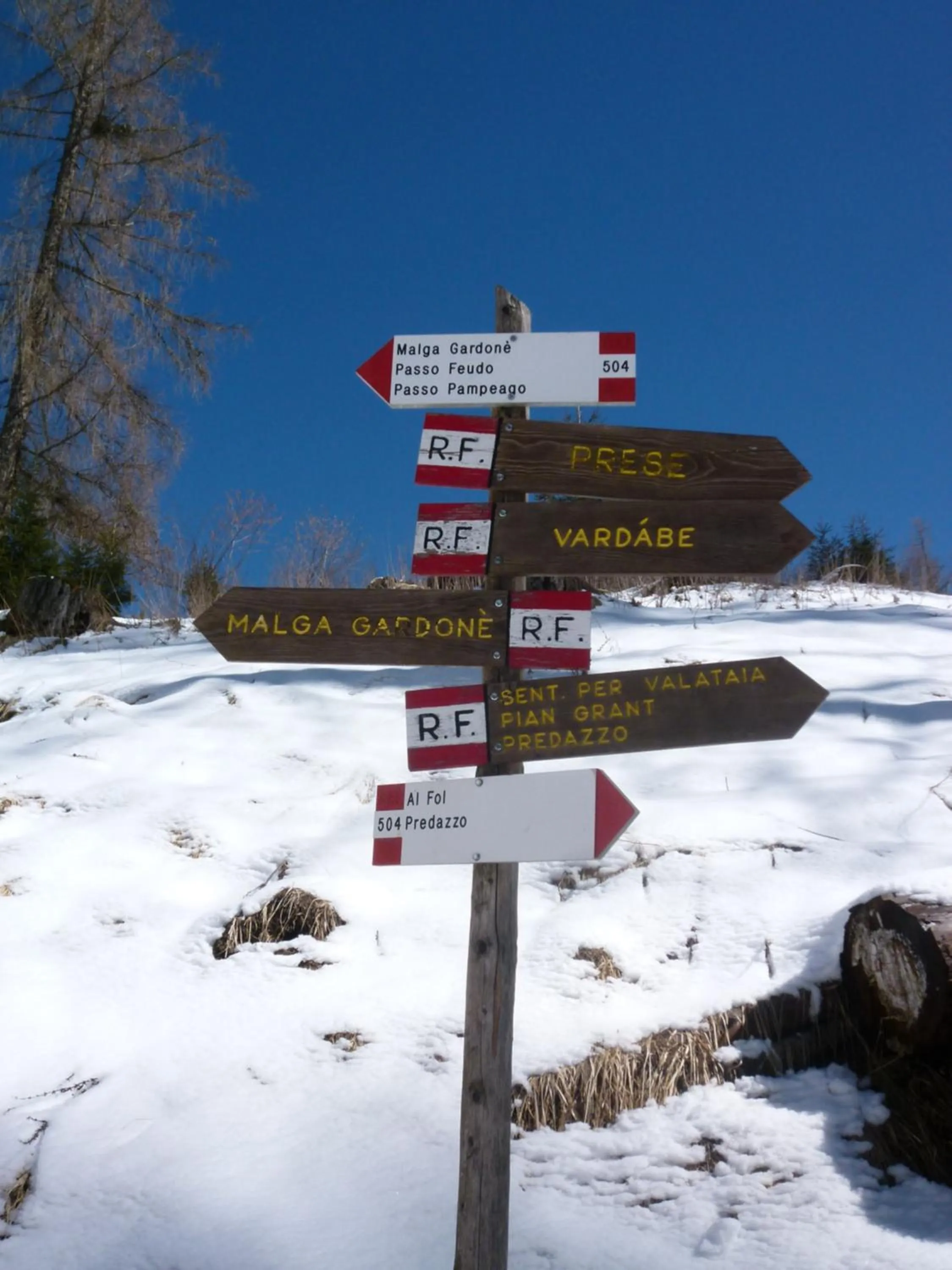 Natural landscape in B&BeautyFol Dolomites B&B adults only